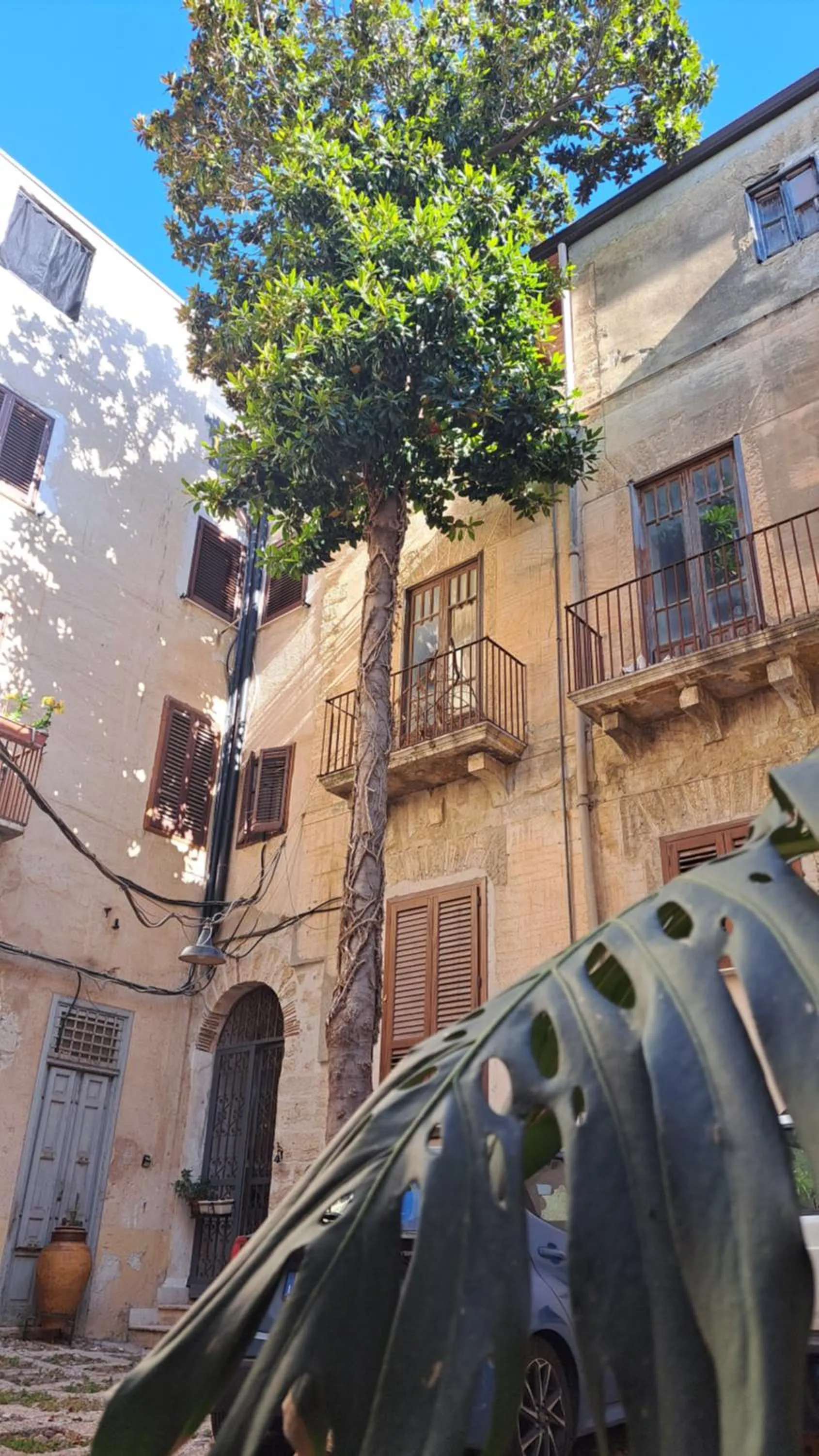 Day in B&B Garibaldi