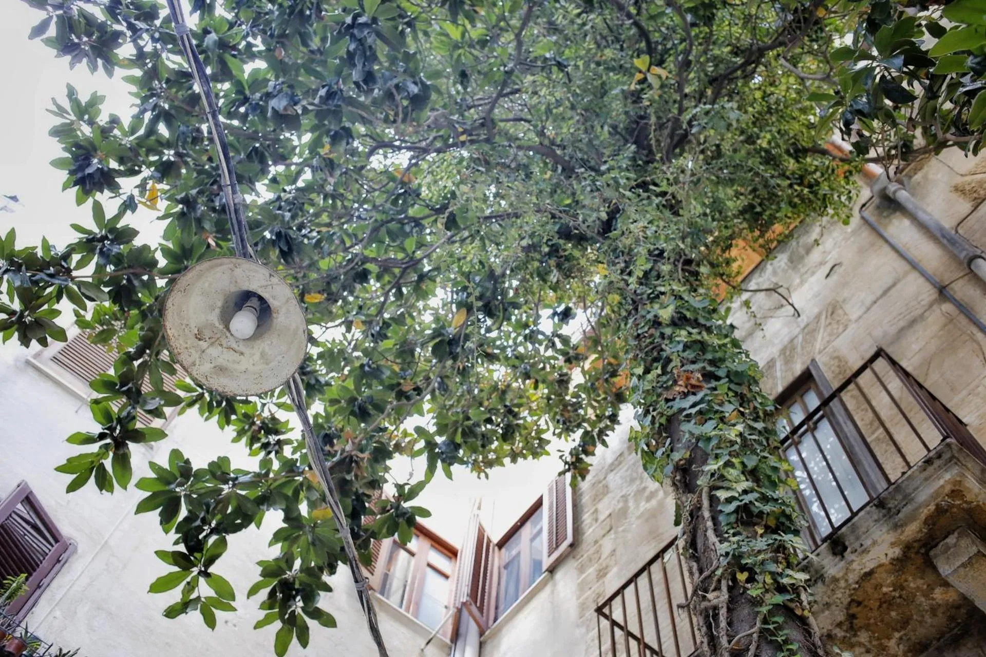 Day in B&B Garibaldi