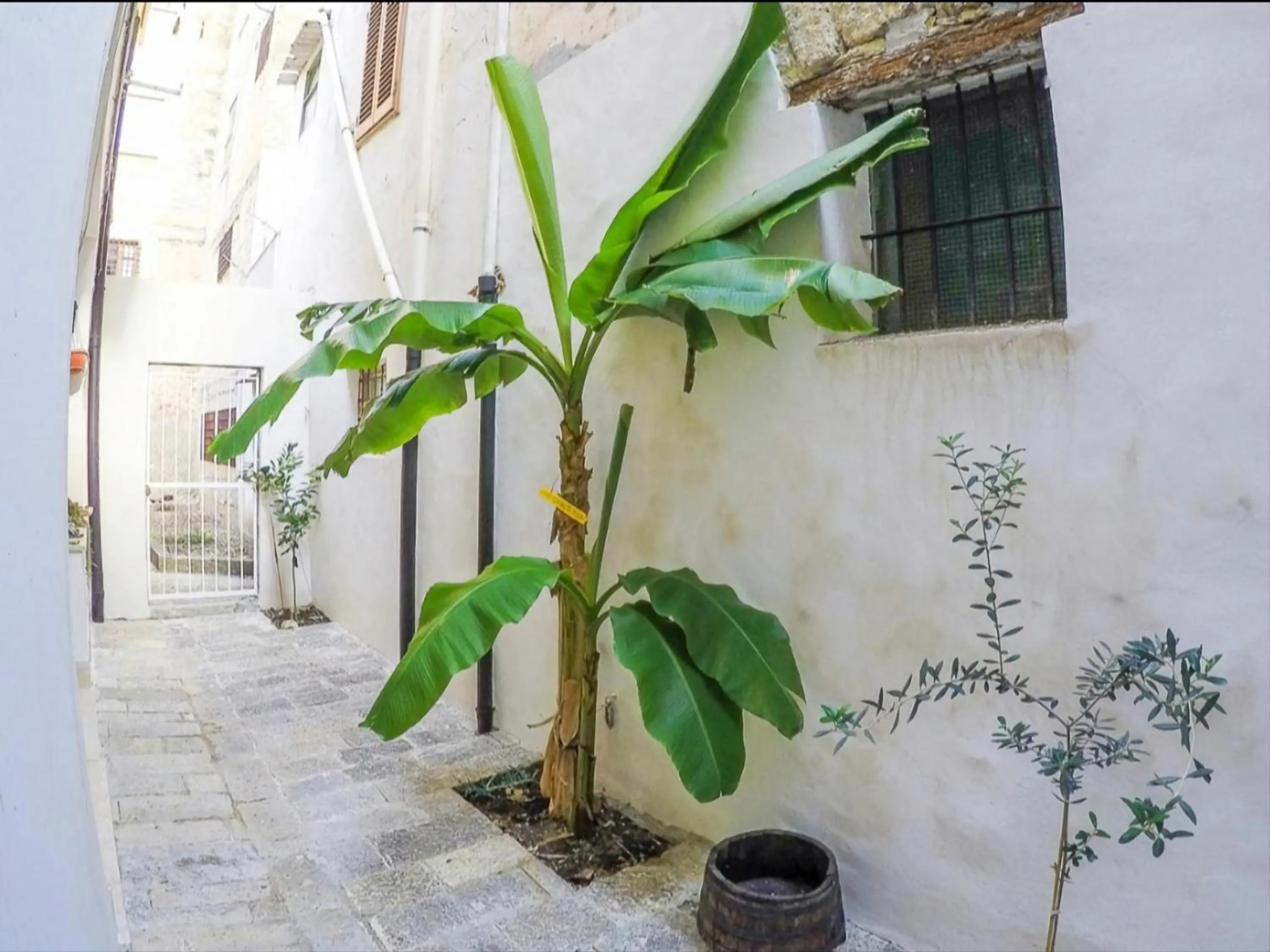 Day in B&B Garibaldi