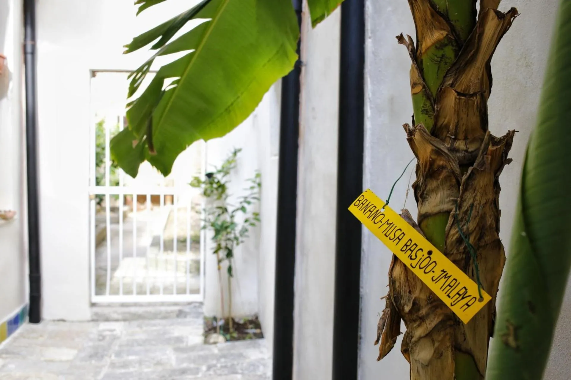 Day in B&B Garibaldi