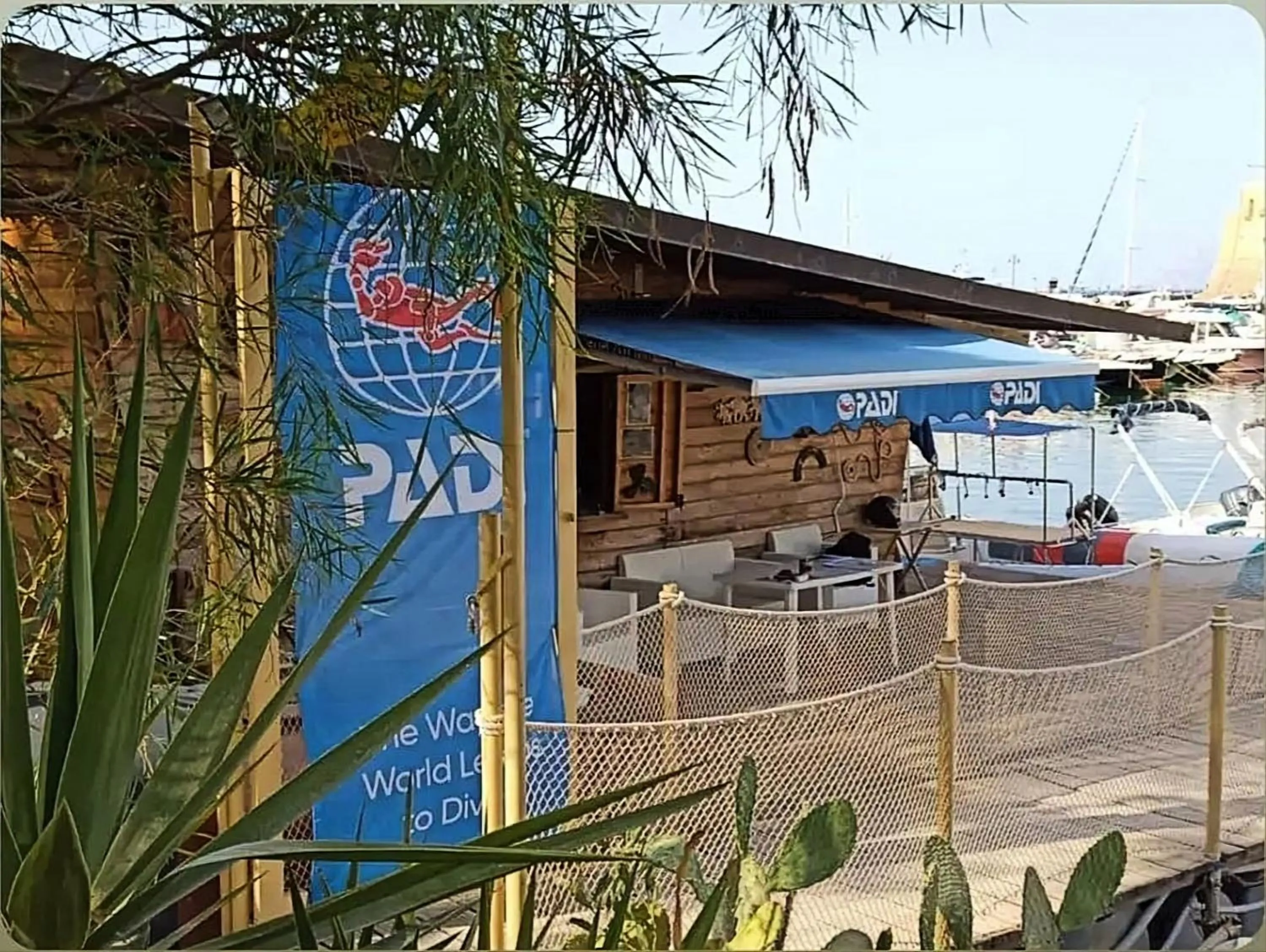 Diving in B&B Garibaldi