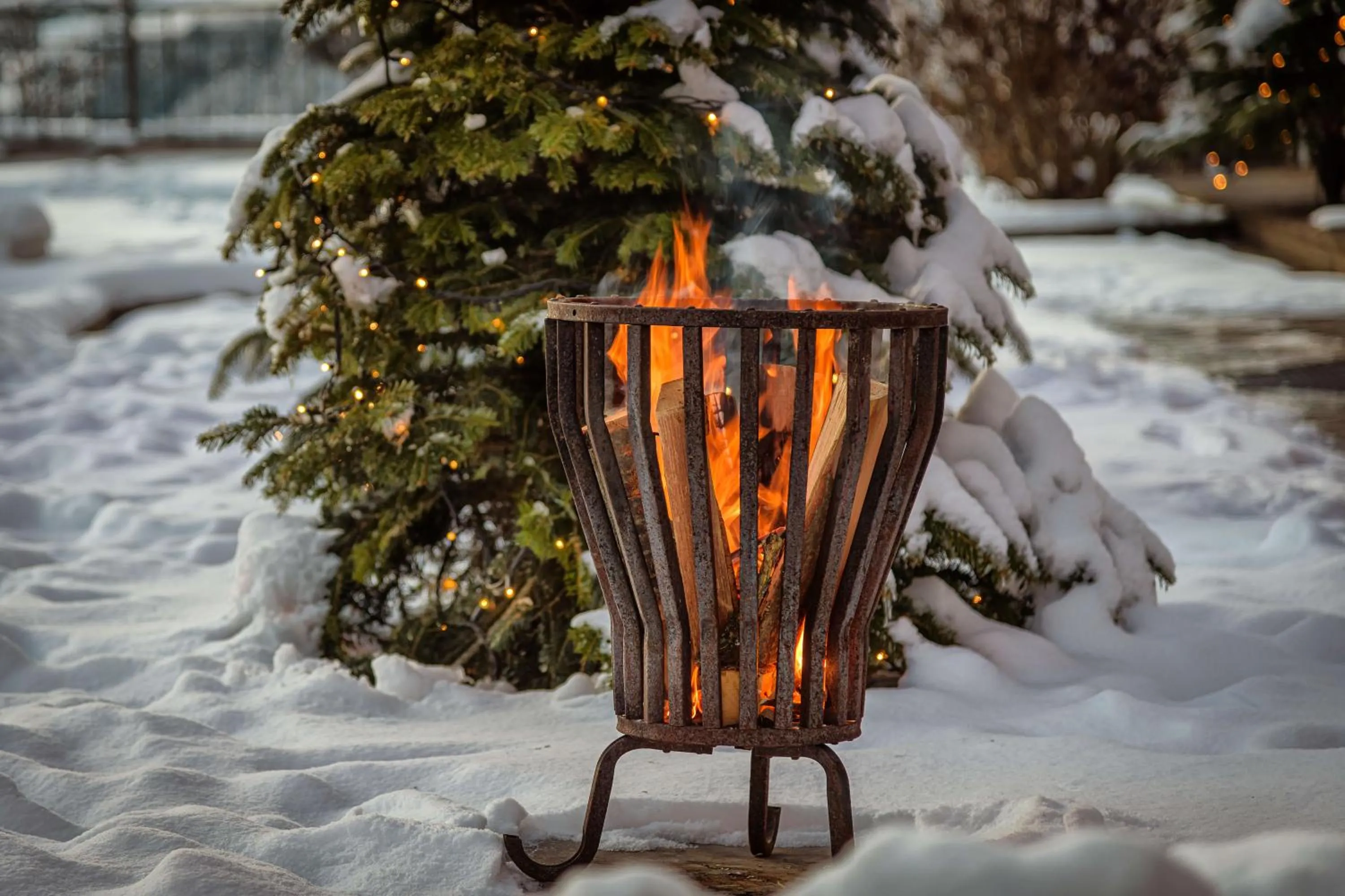 Winter in Alpines Lifestyle Hotel Tannenhof