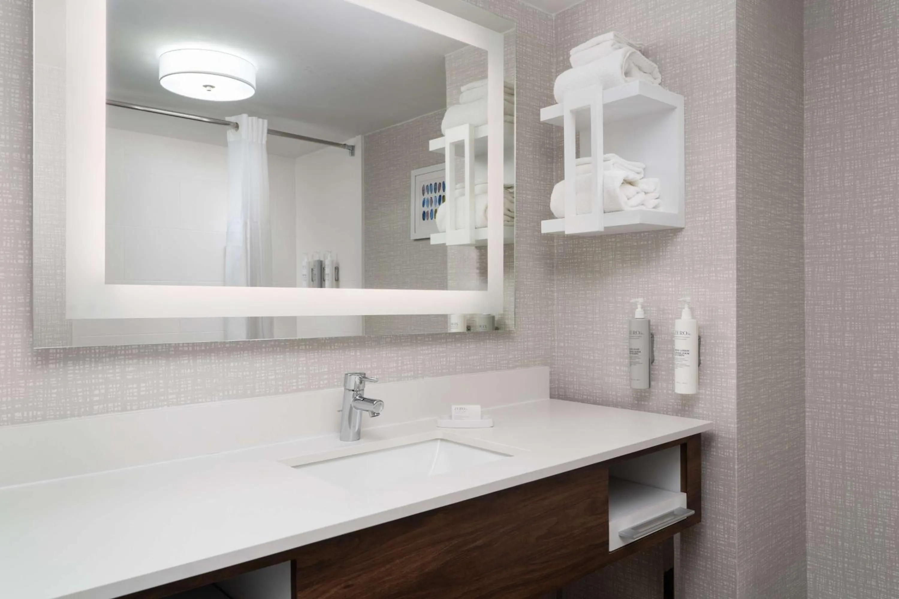 Bathroom in Hampton Inn Roanoke/Hollins - I-81