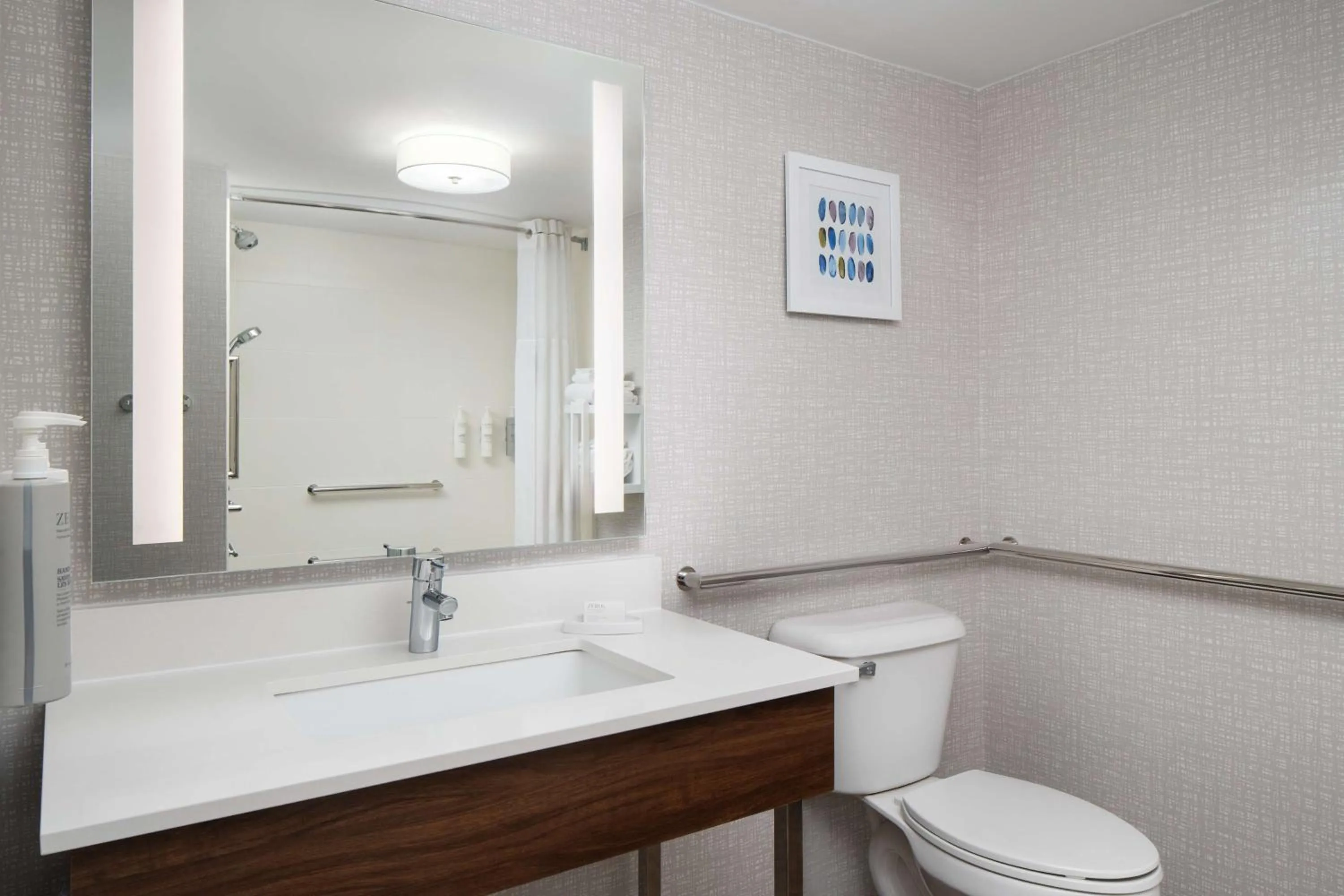 Bathroom in Hampton Inn Roanoke/Hollins - I-81