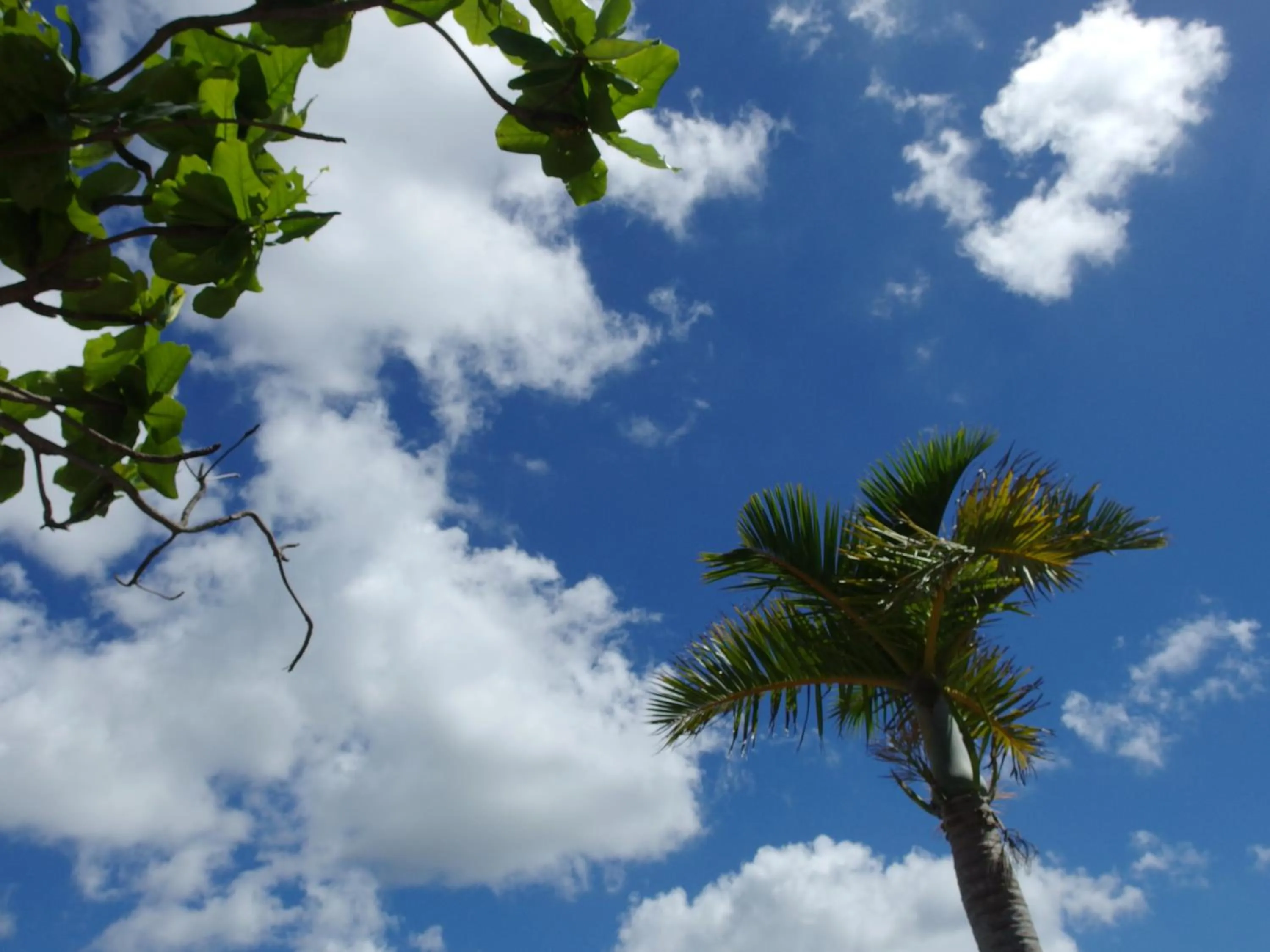 Nearby landmark in Terrace Resort Chatan West