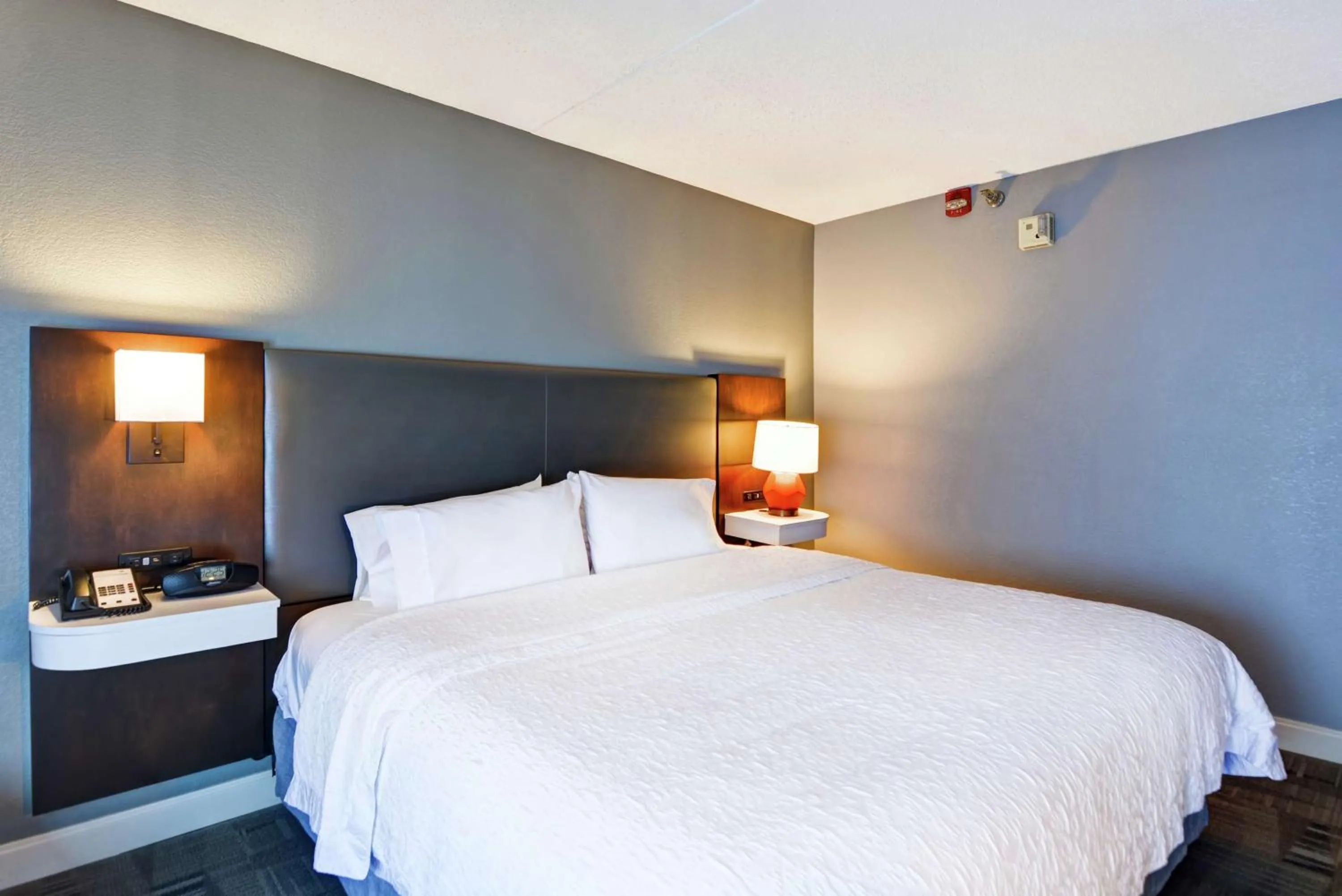 Bed in Hampton Inn Cincinnati Airport South