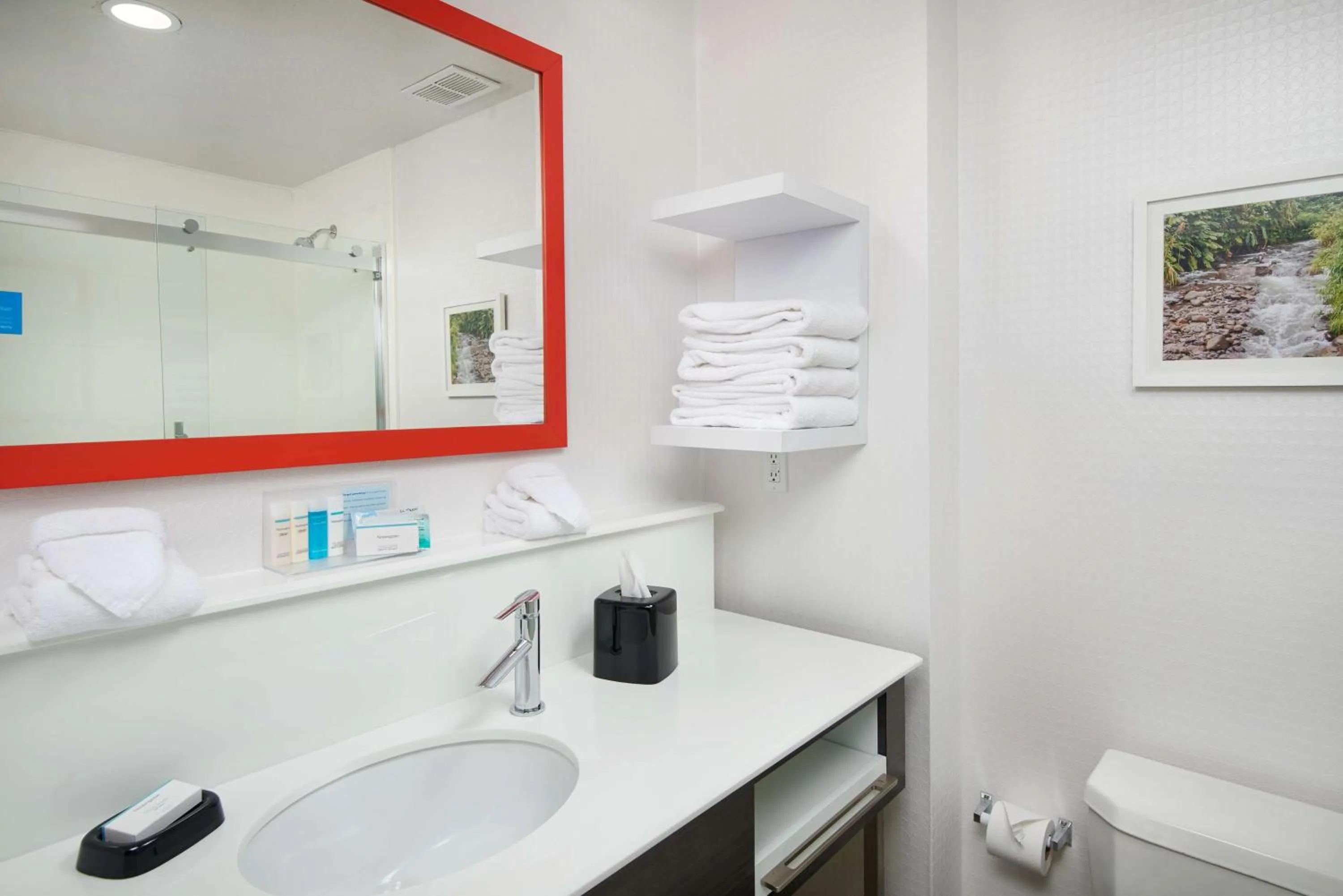 Bathroom in Hampton Inn Eagle Pass