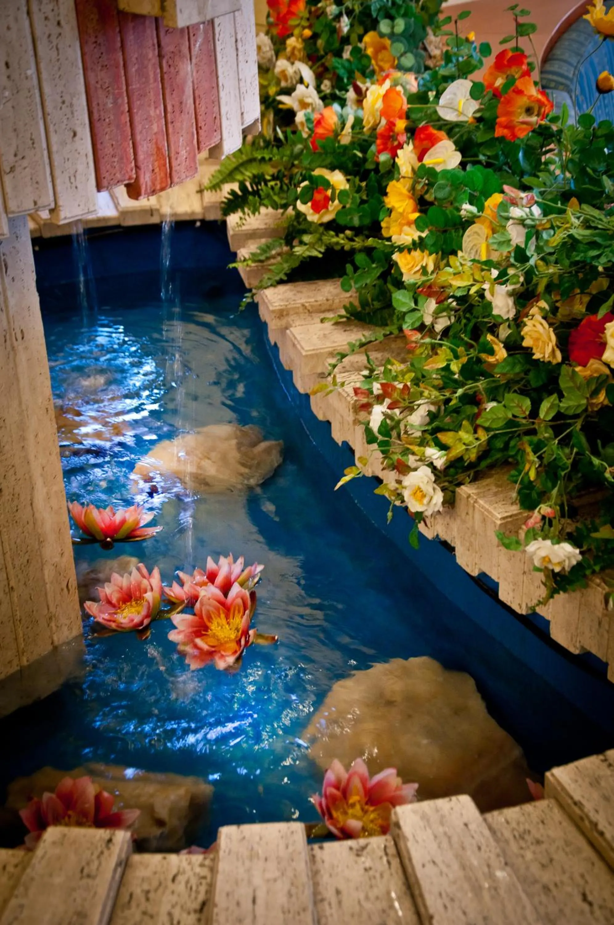 Garden in Aerhotel Phelipe