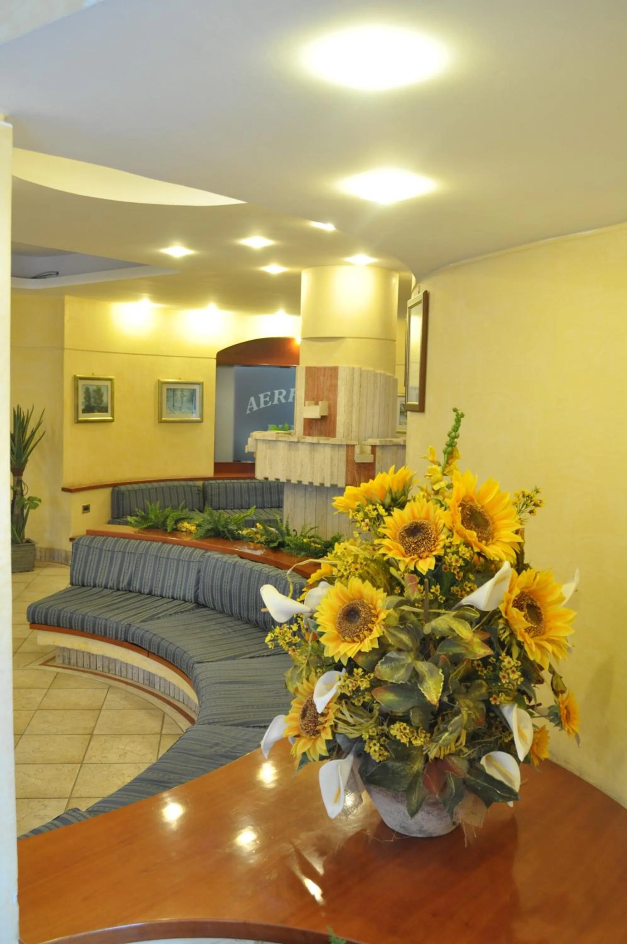 Lobby or reception in Aerhotel Phelipe