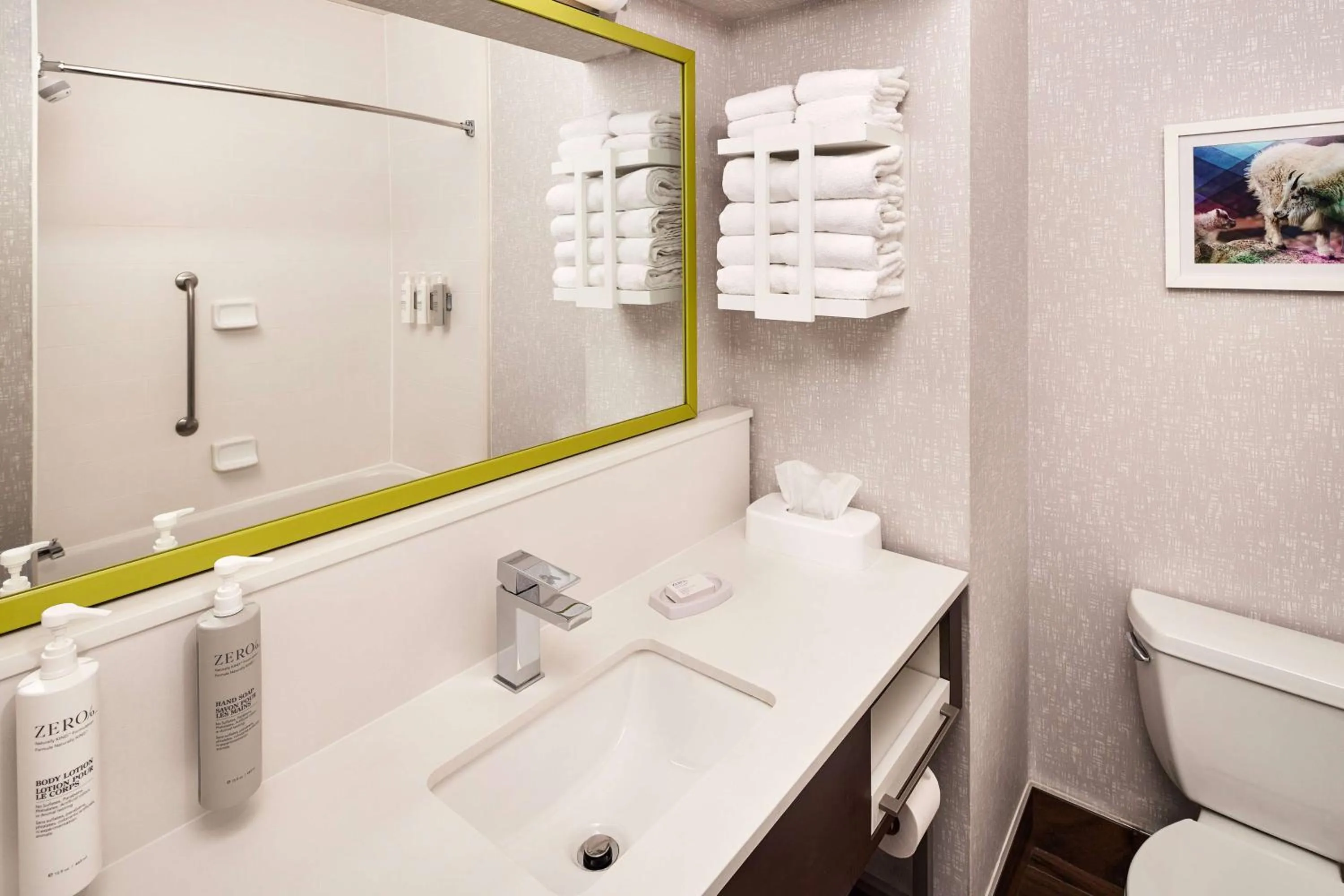 Bathroom in Hampton Inn Longmont