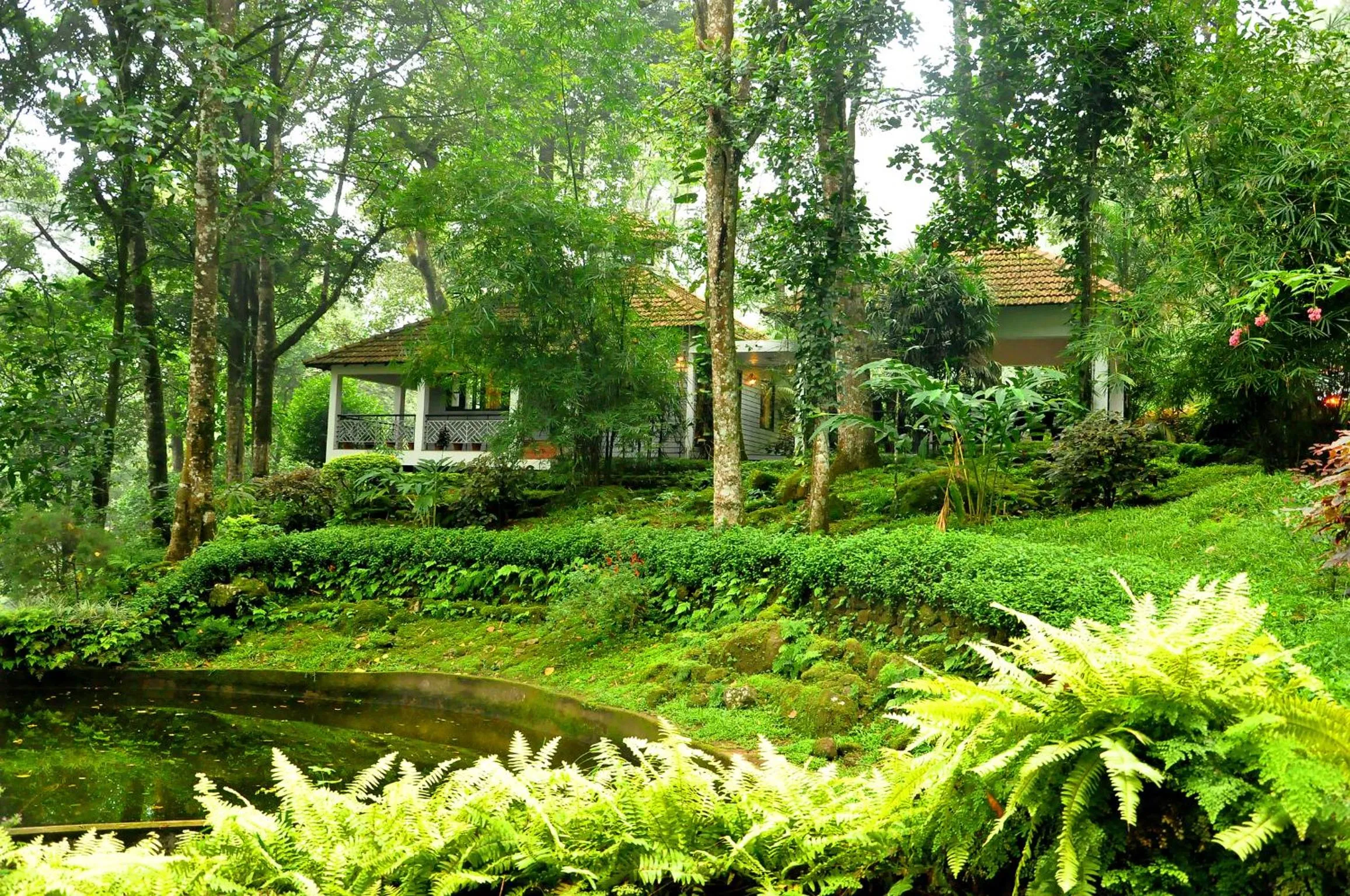 Property building in The Tall Trees