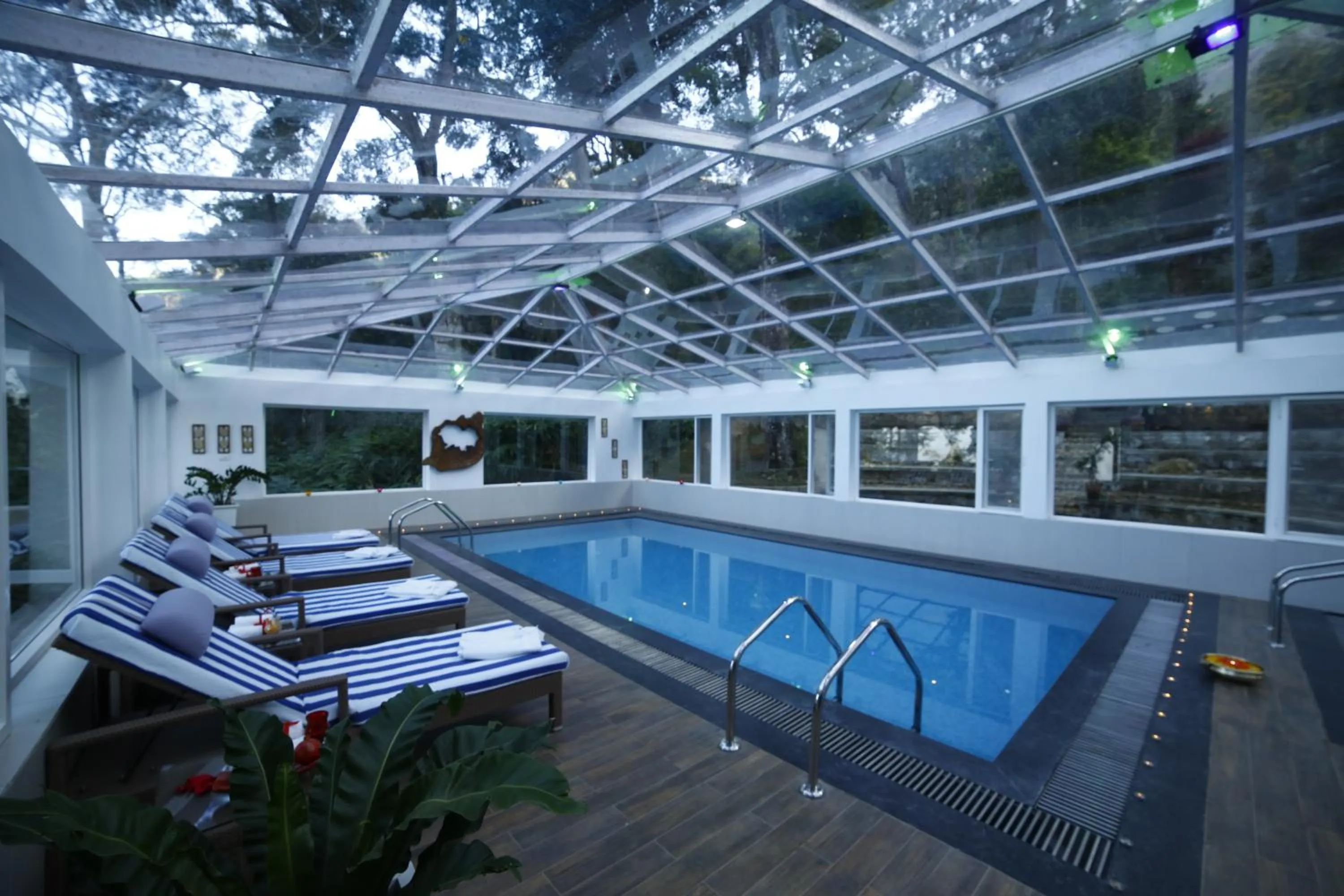 Swimming pool in The Tall Trees