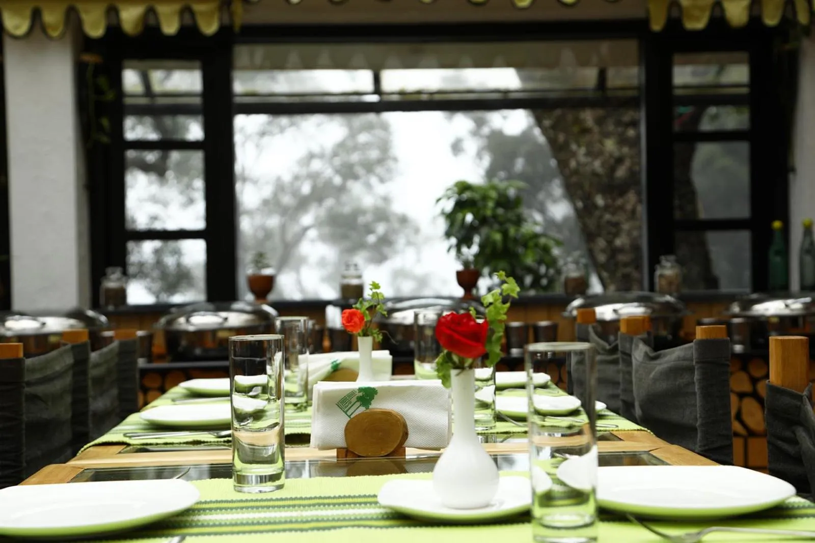 Breakfast in The Tall Trees