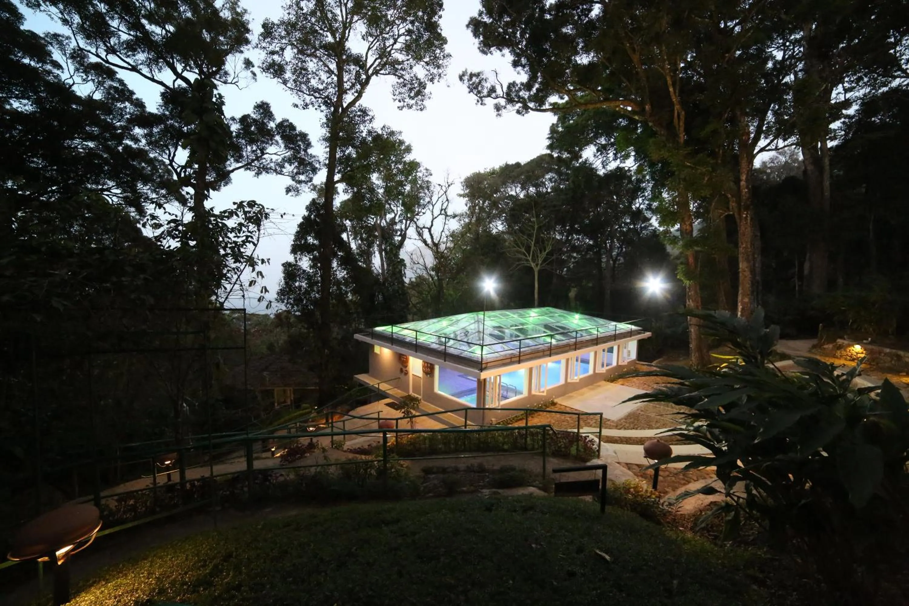 Swimming pool in The Tall Trees