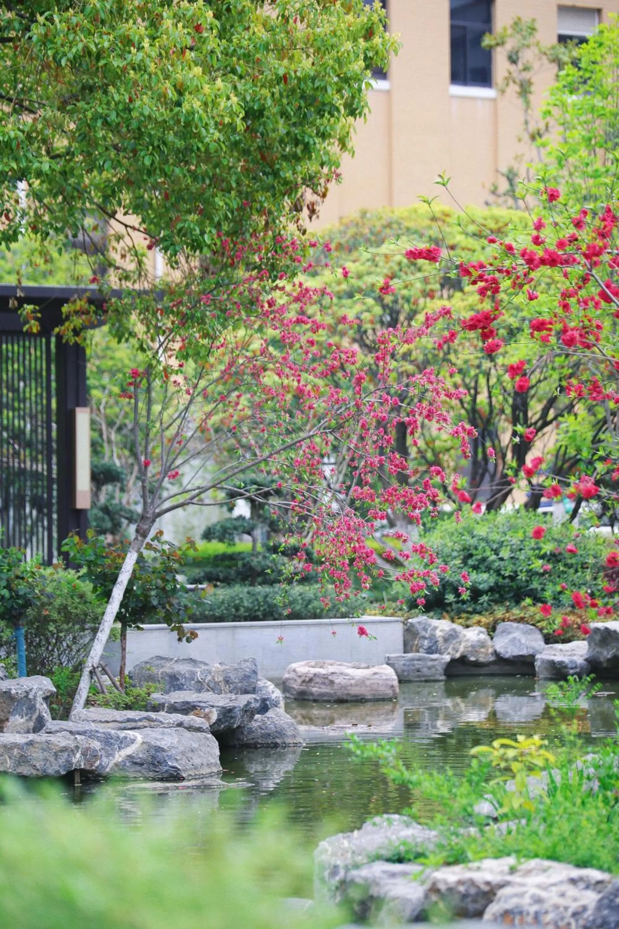 Garden in Crowne Plaza Zhengzhou by IHG