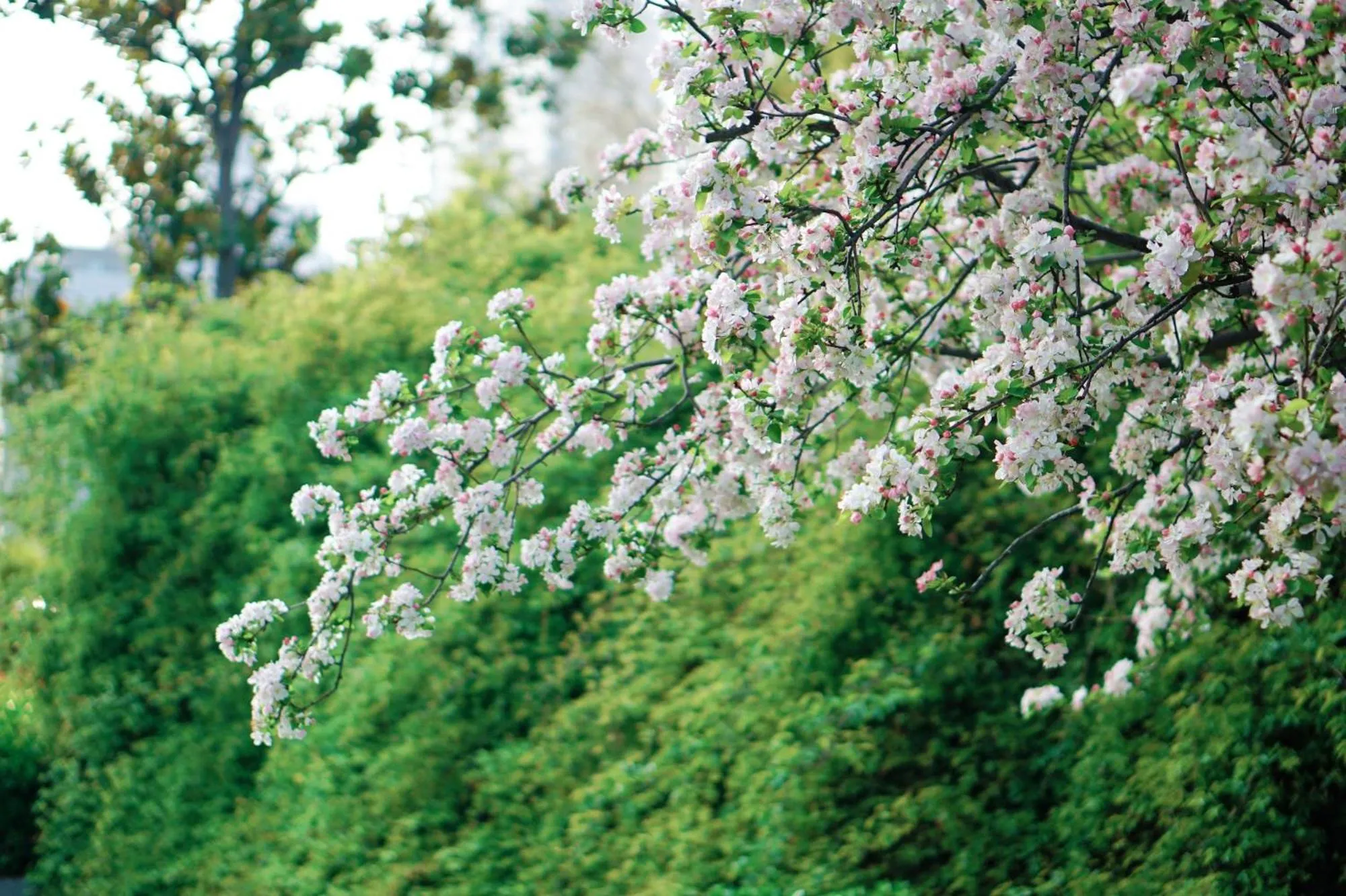View (from property/room) in Crowne Plaza Zhengzhou by IHG