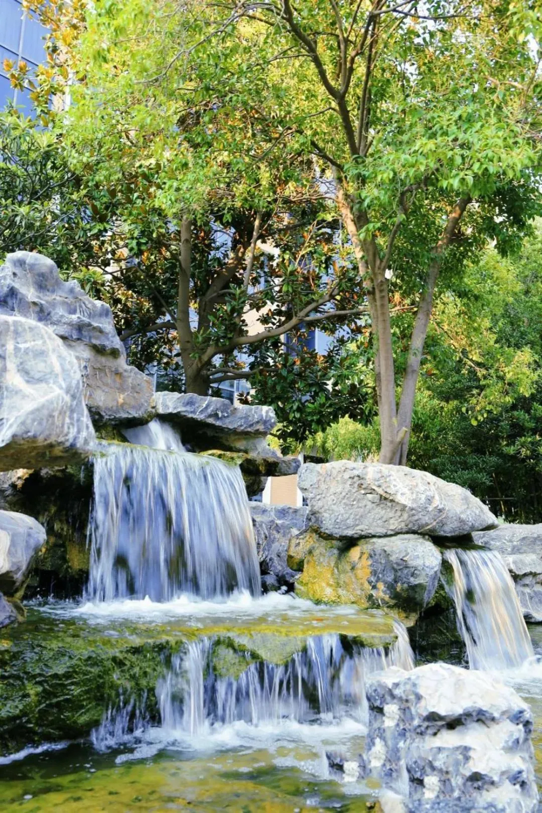 Garden in Crowne Plaza Zhengzhou by IHG