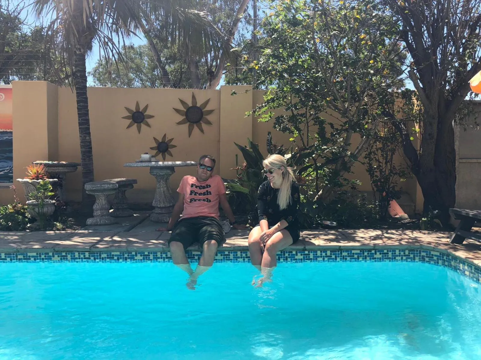 Garden in A Sunflower Stop Backpackers