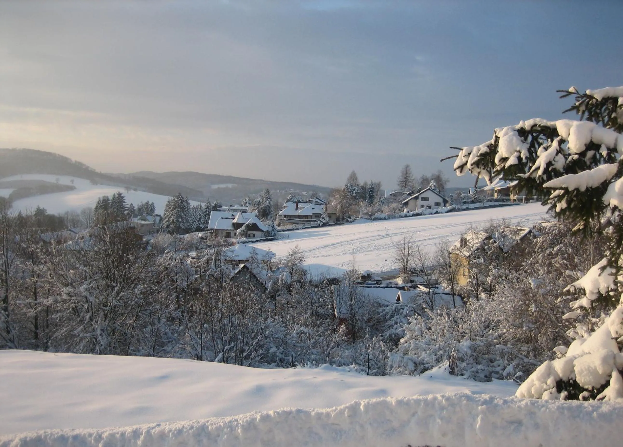 Area and facilities in Hotel Rosner