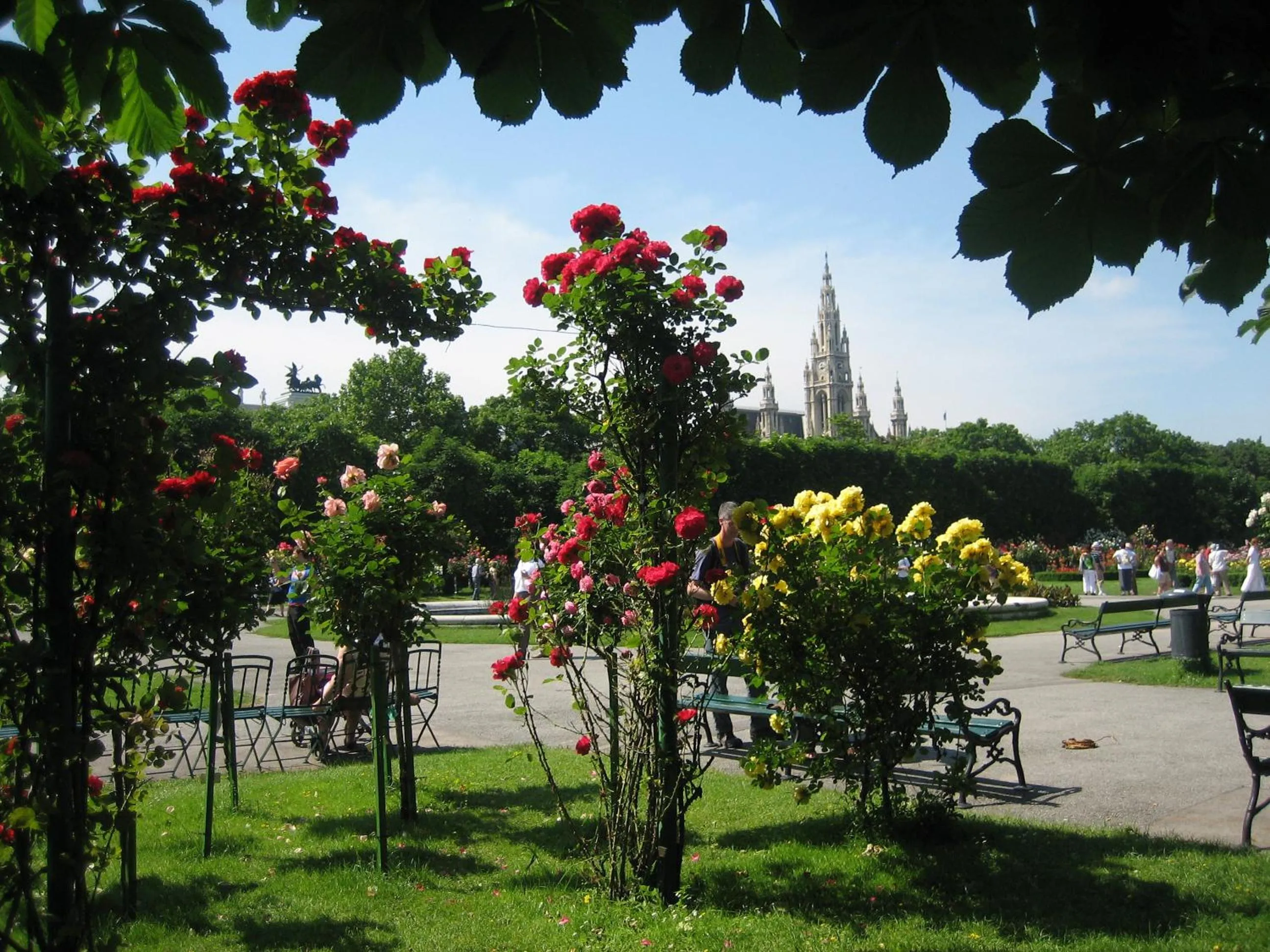 Area and facilities in Hotel Rosner