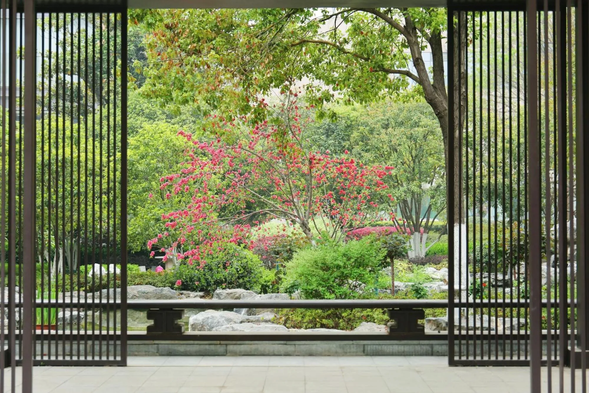 Garden in Holiday Inn Zhengzhou Zhongzhou by IHG