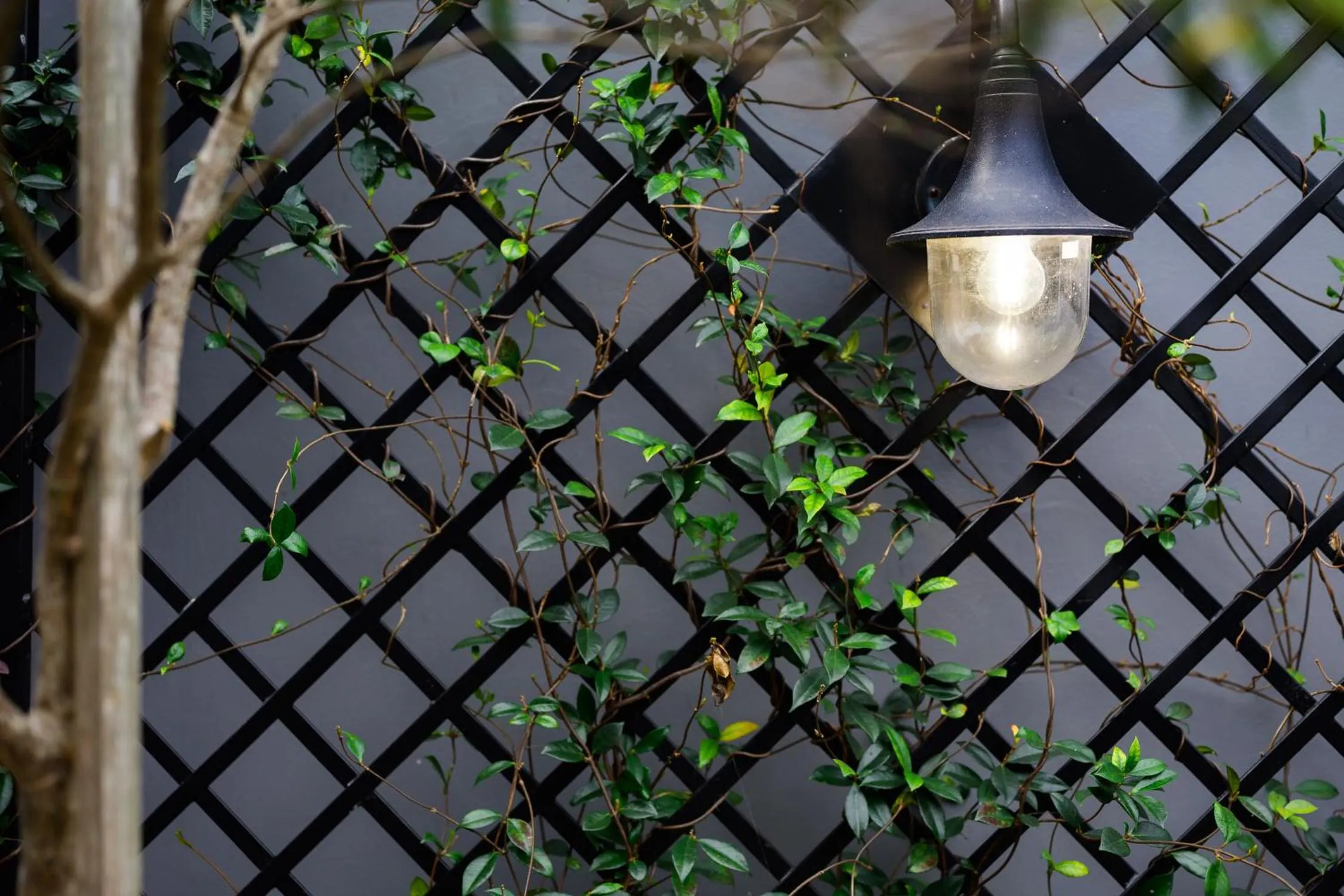 Inverell Station by The Oyster Collection
