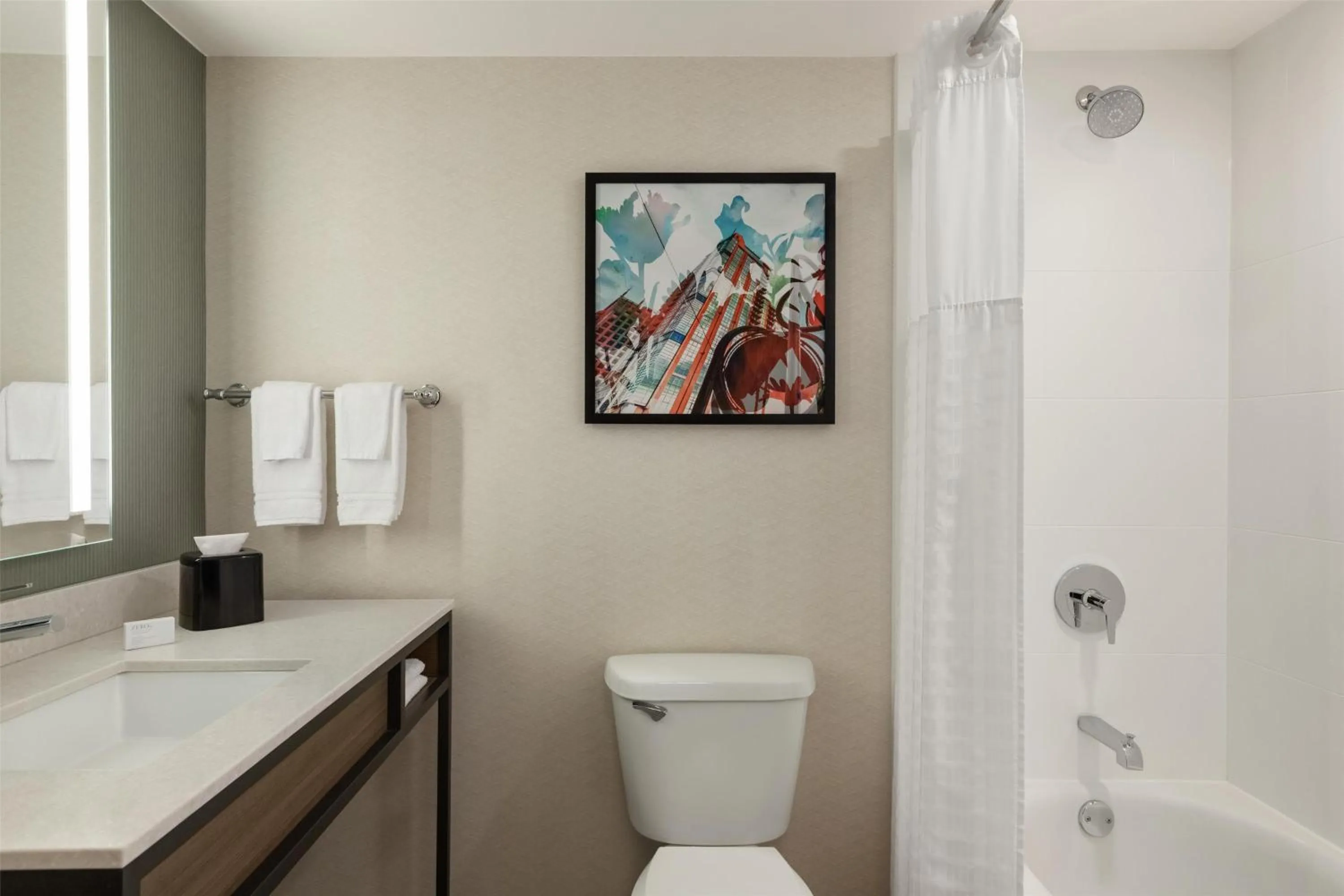 Bathroom in Hilton Garden Inn Atlanta Downtown