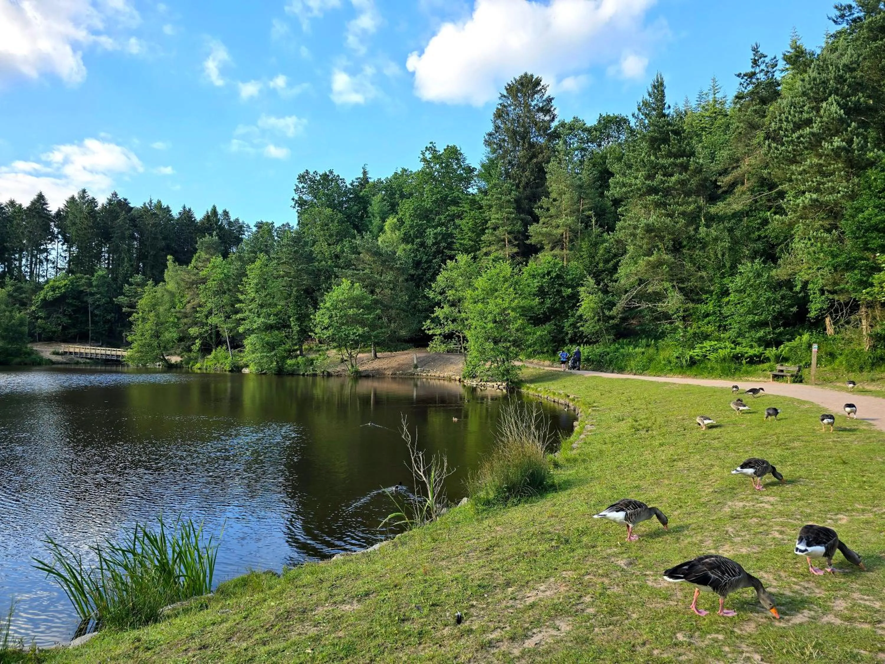 Littledean House Hotel