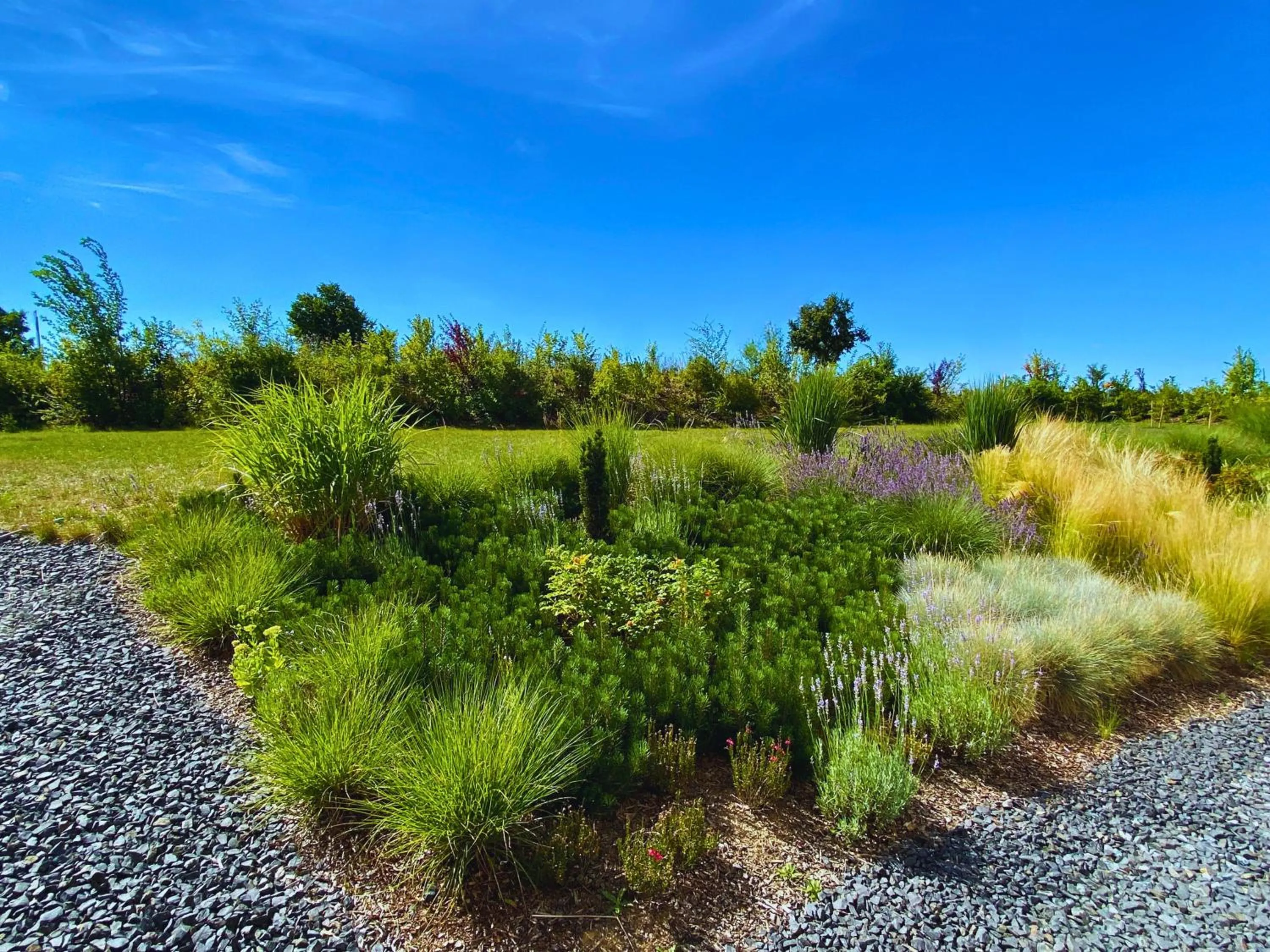 Garden in Avaneo Hotel Marktredwitz