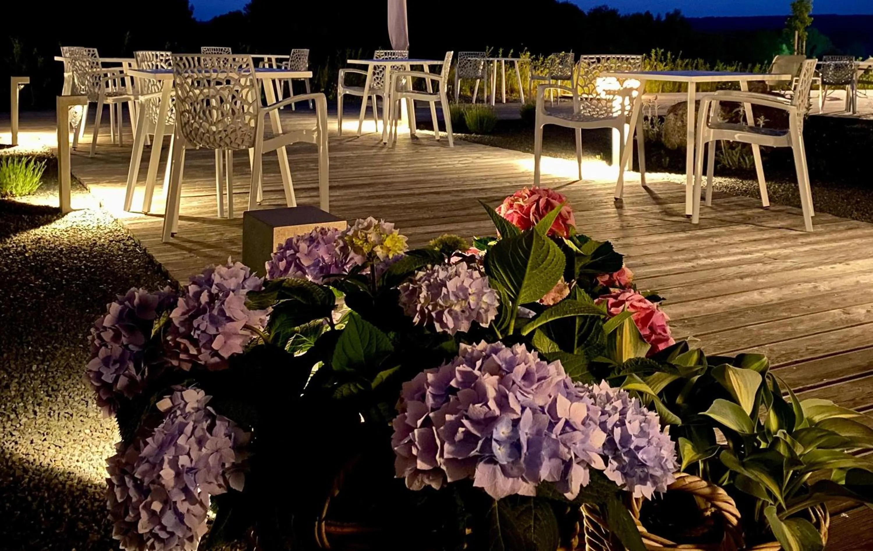 Balcony/Terrace in Avaneo Hotel Marktredwitz