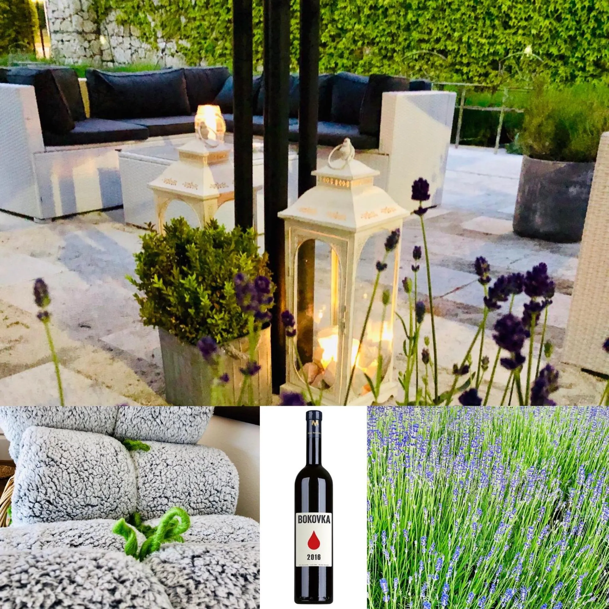 Garden in Hotel Marcincak***