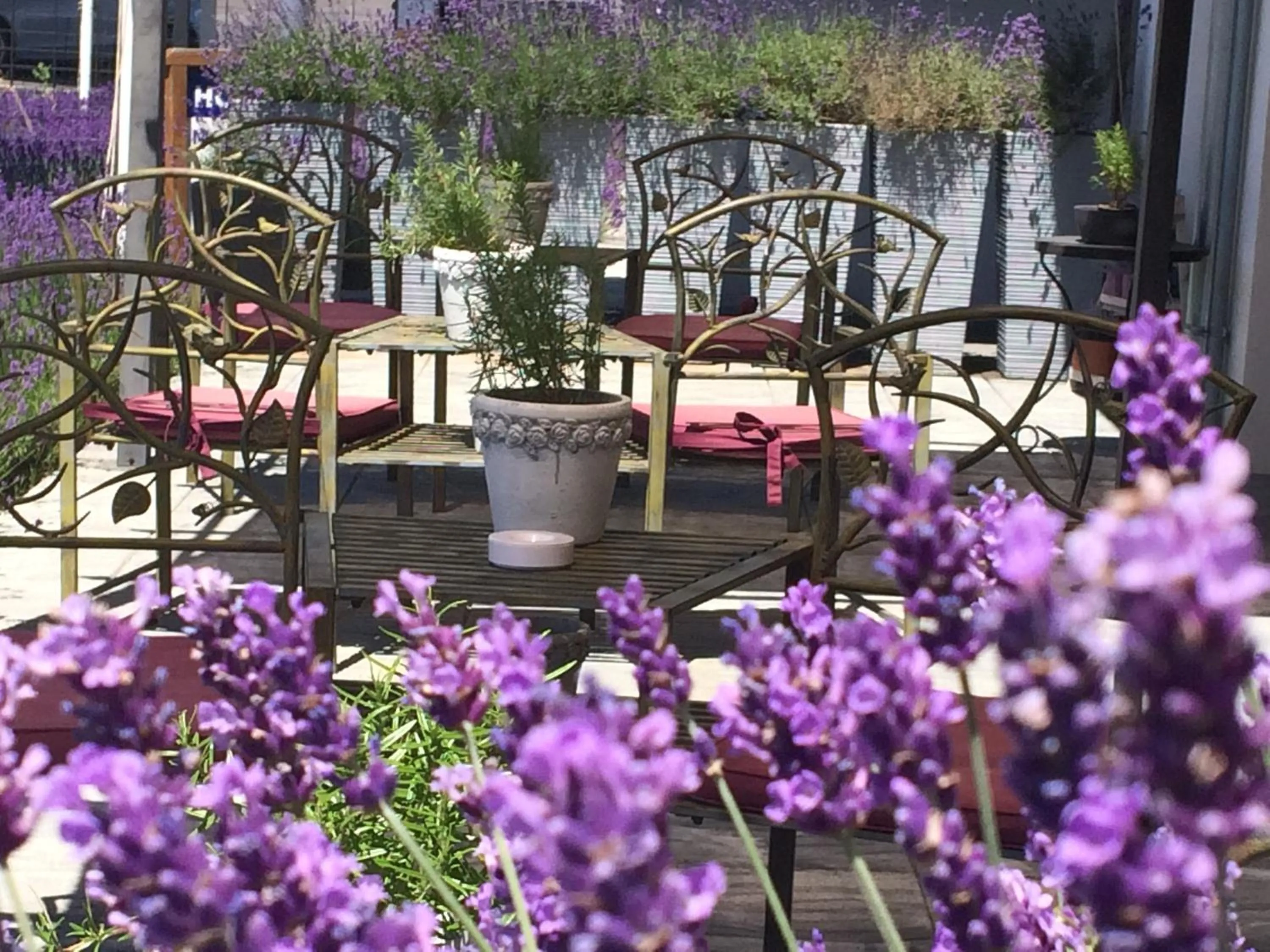 Garden in Hotel Marcincak***