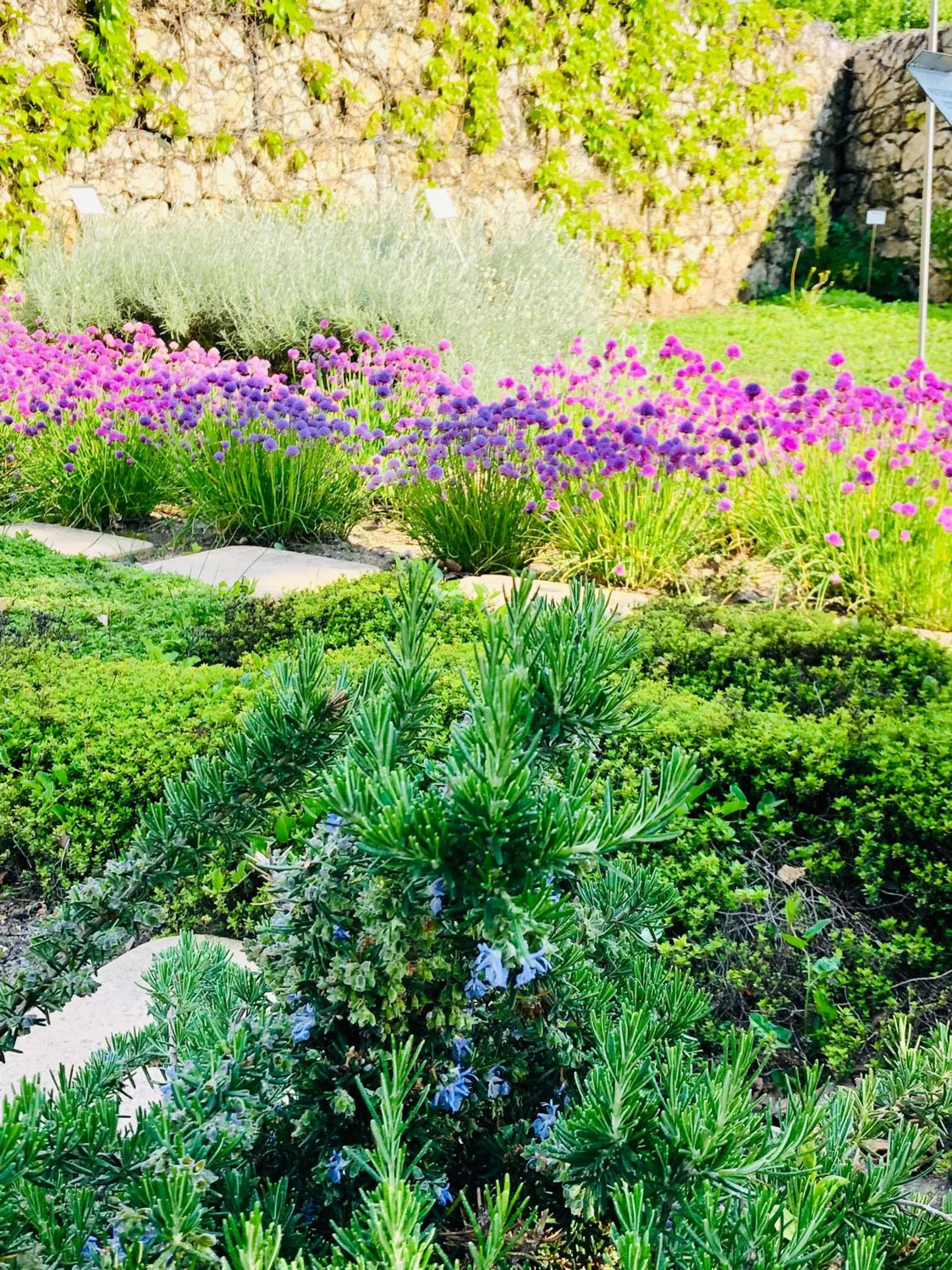 Garden in Hotel Marcincak***