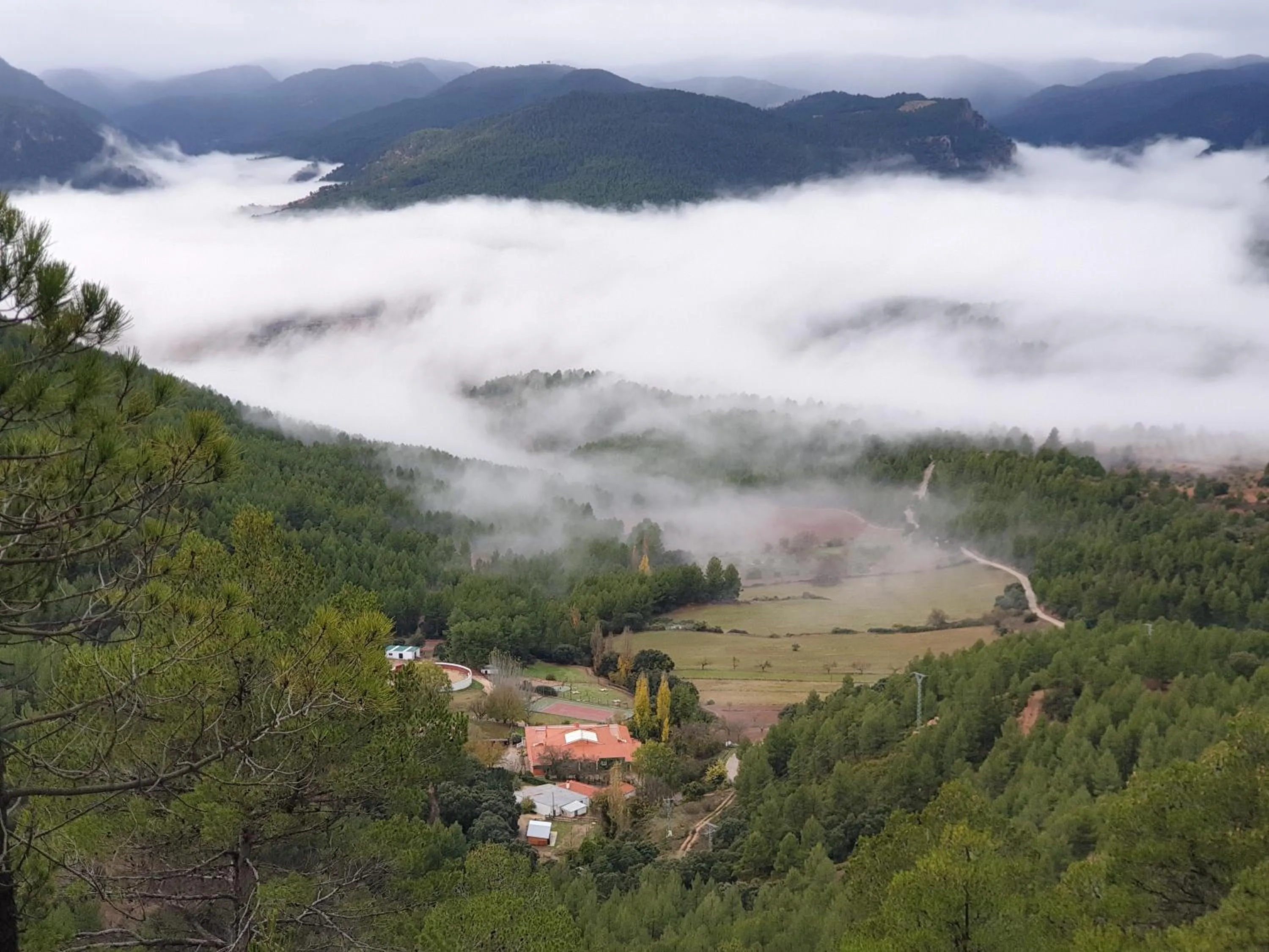 Off site in Hospedium Hotel Val de Pinares