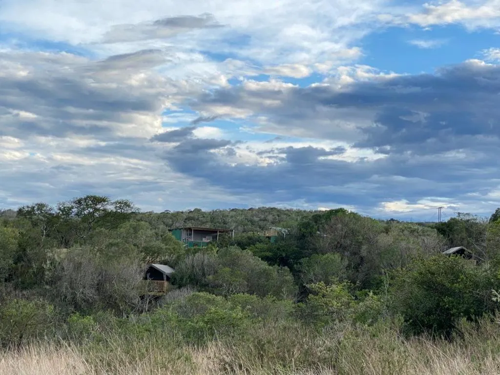 Natural landscape in Horseshoe Game Reserve