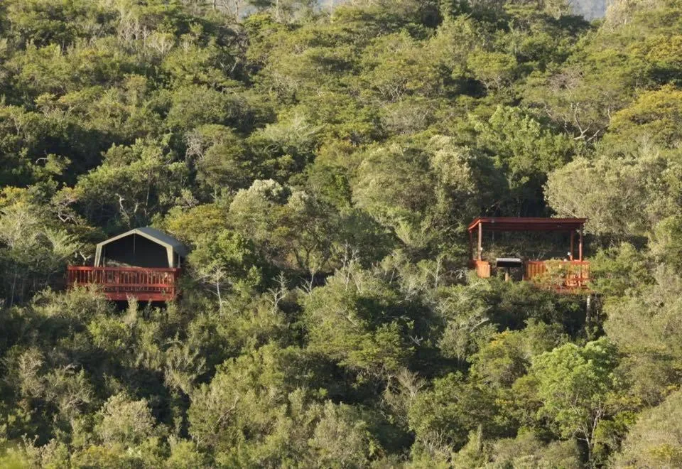 Natural landscape in Horseshoe Game Reserve