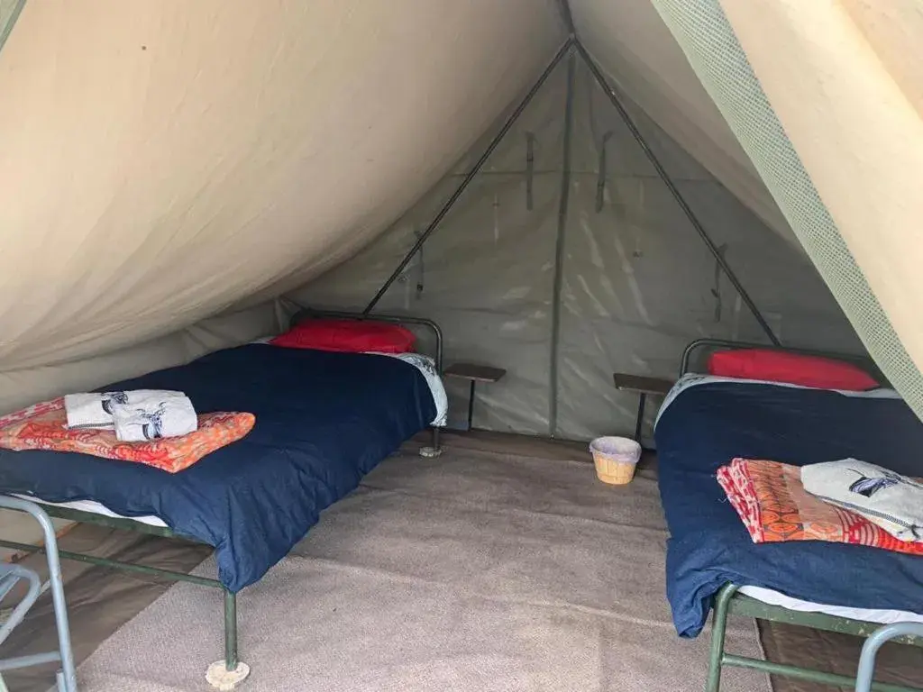 Classic Tent in Horseshoe Game Reserve Classic Tent in Horseshoe Game Reserve