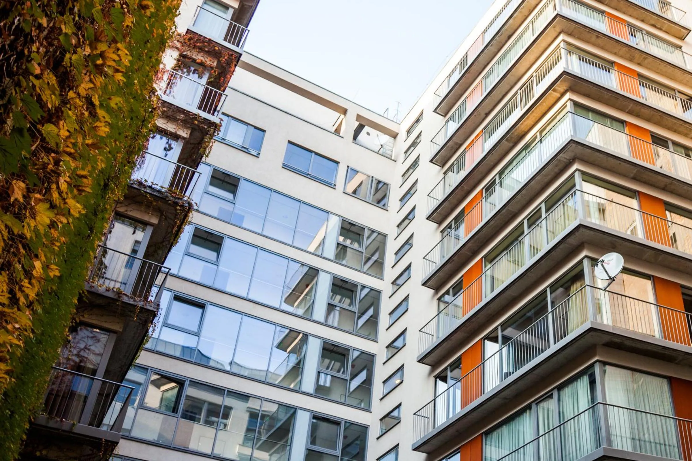 Facade/entrance in City Gardens Hotel & Wellness