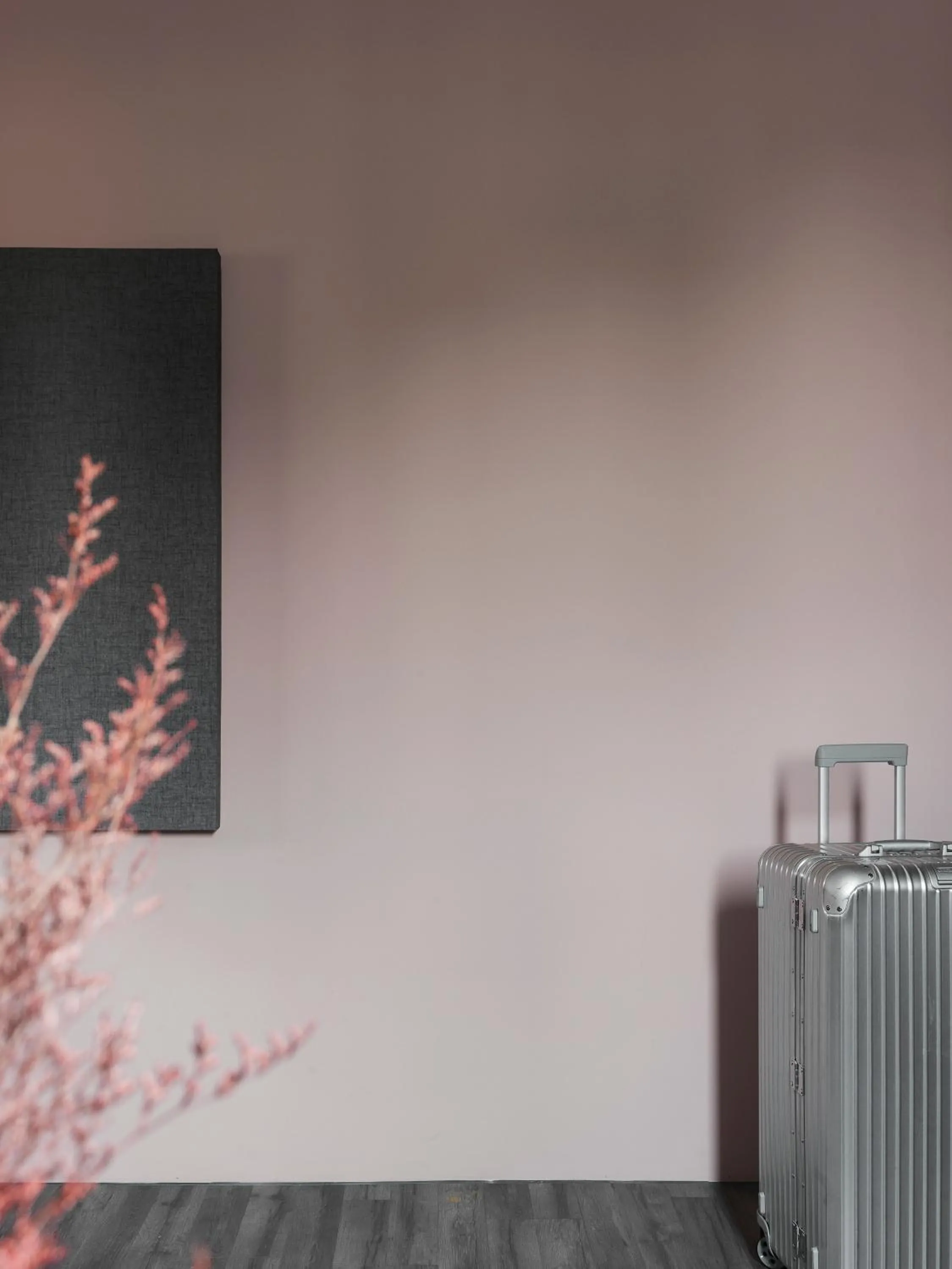 TV and multimedia in Mr.Mantter