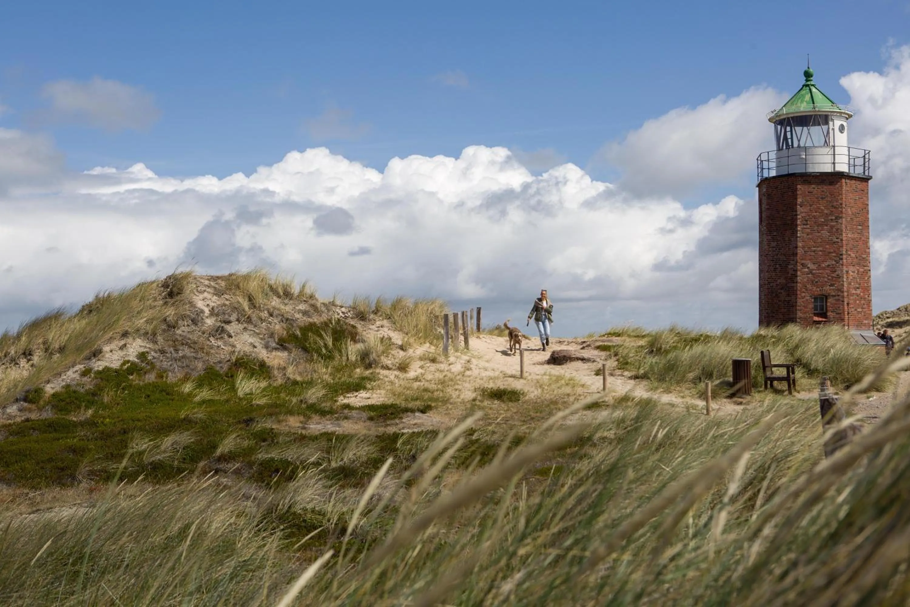 Natural landscape in Wyn. Strandhotel Sylt