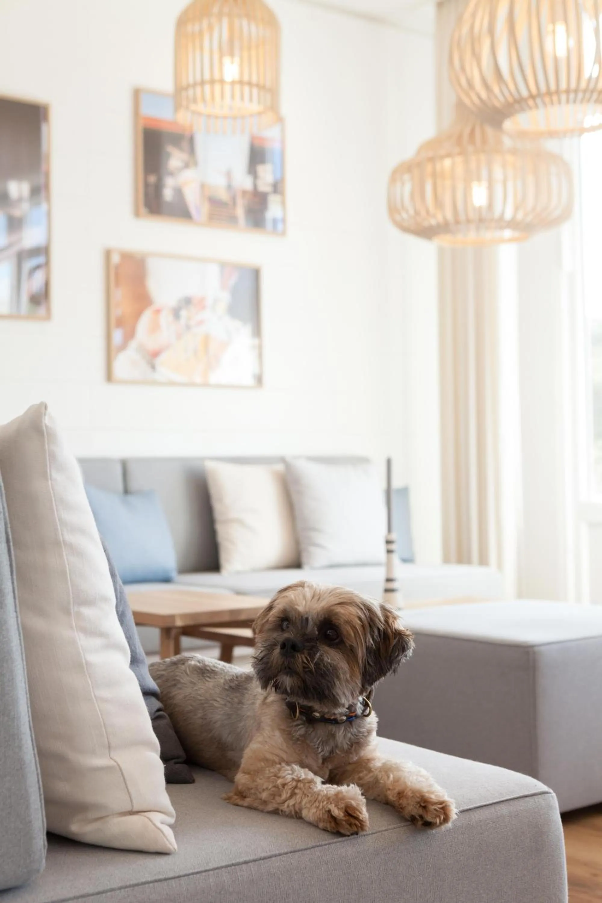 Pets in Wyn. Strandhotel Sylt