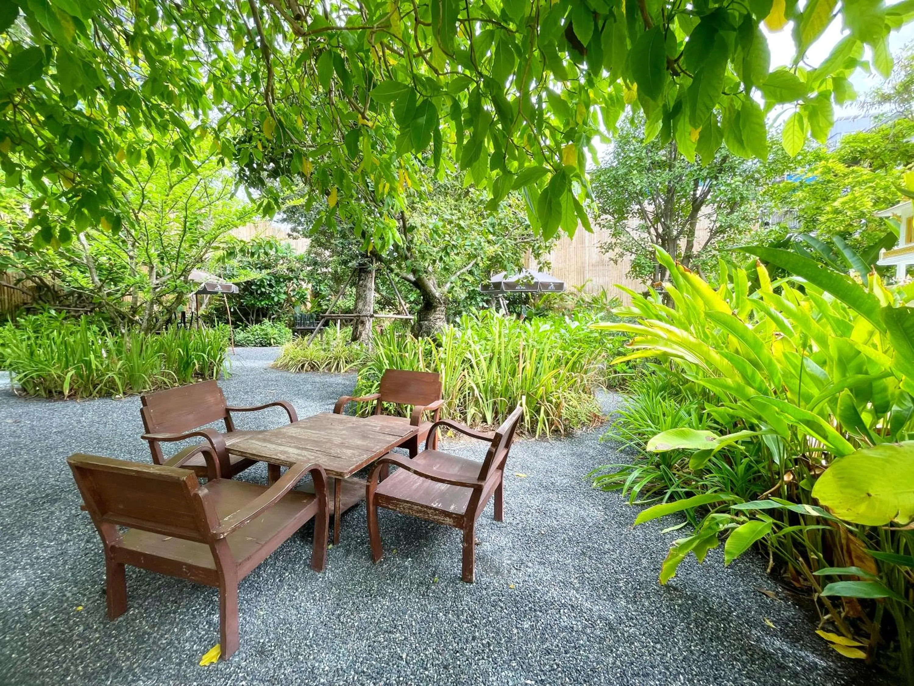 Garden in Sabai Inn