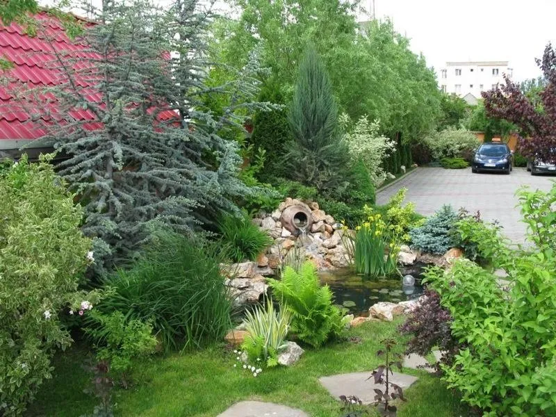 Garden in Hotel Oasis