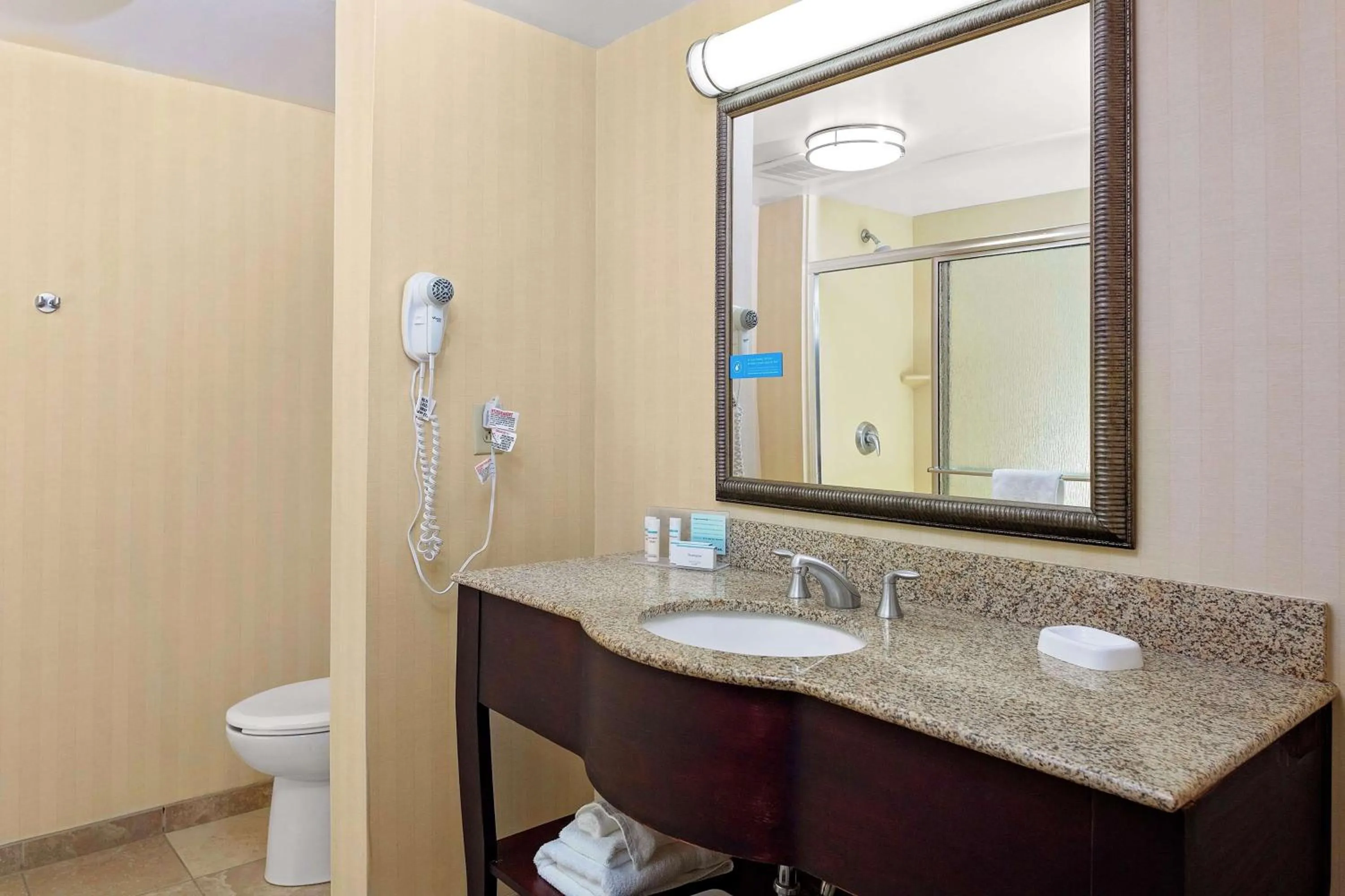 Bathroom in Hampton Inn Atlanta-Fairburn