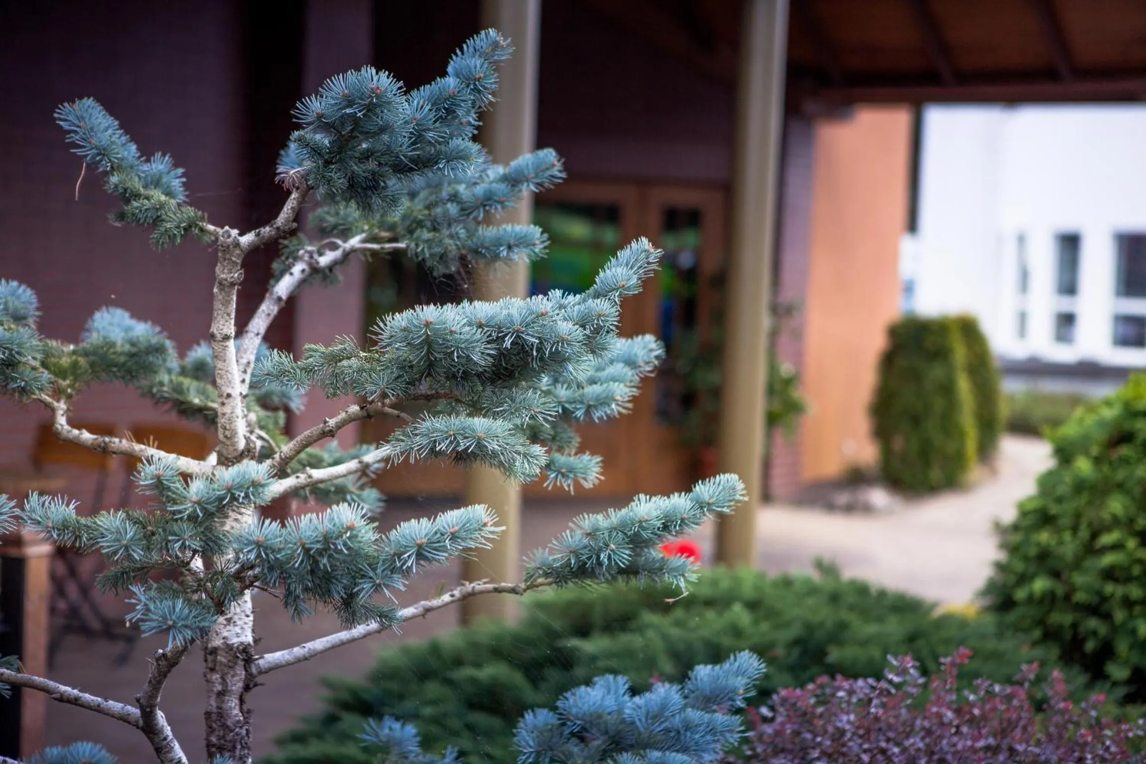 Natural landscape in Eden