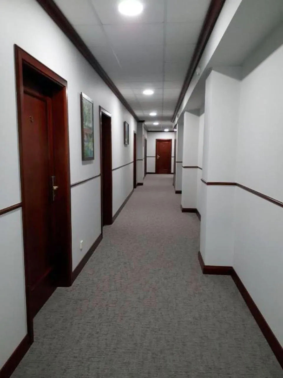 Property building in Eden