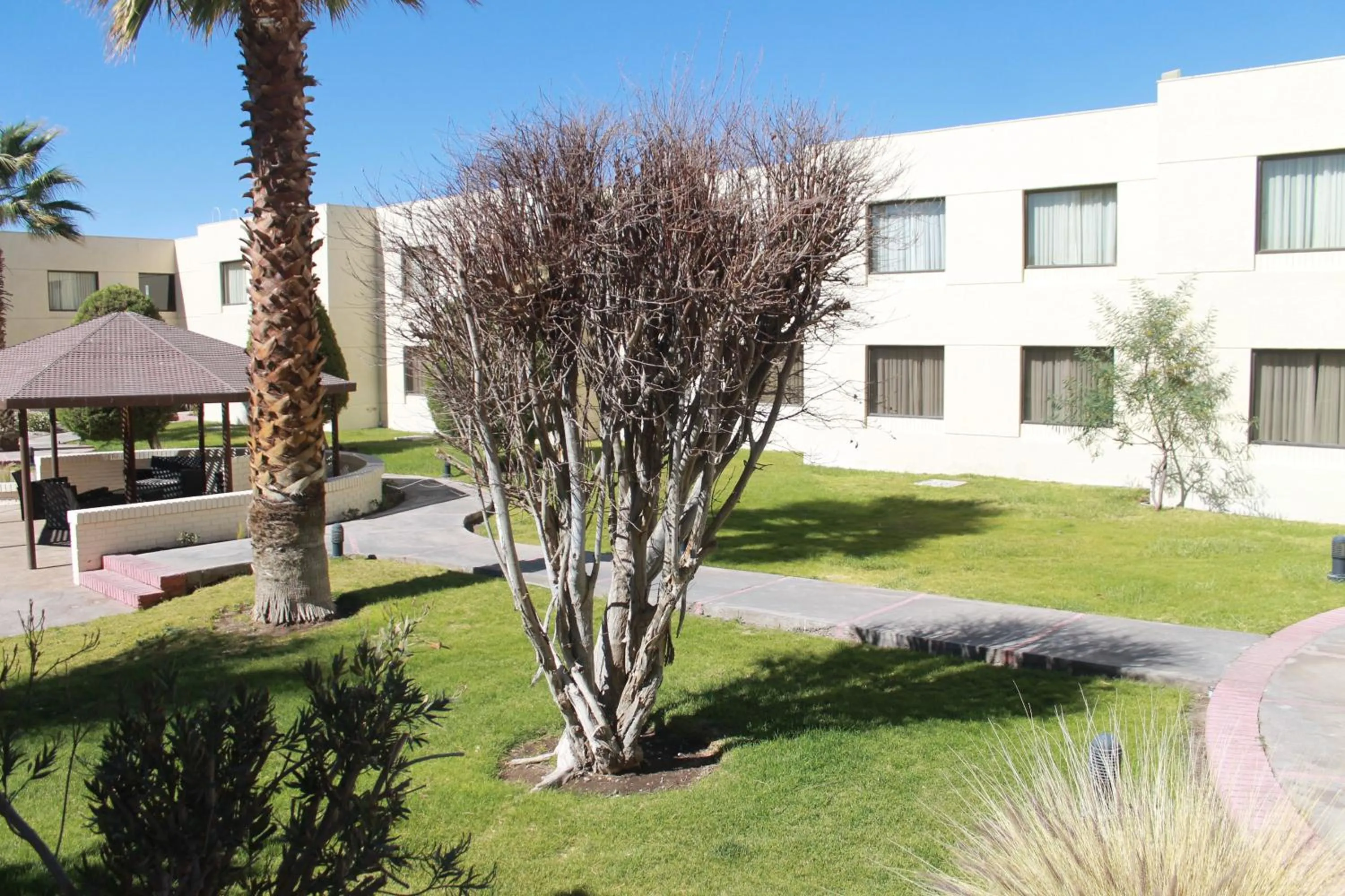 Decorative detail in Park Hotel Calama