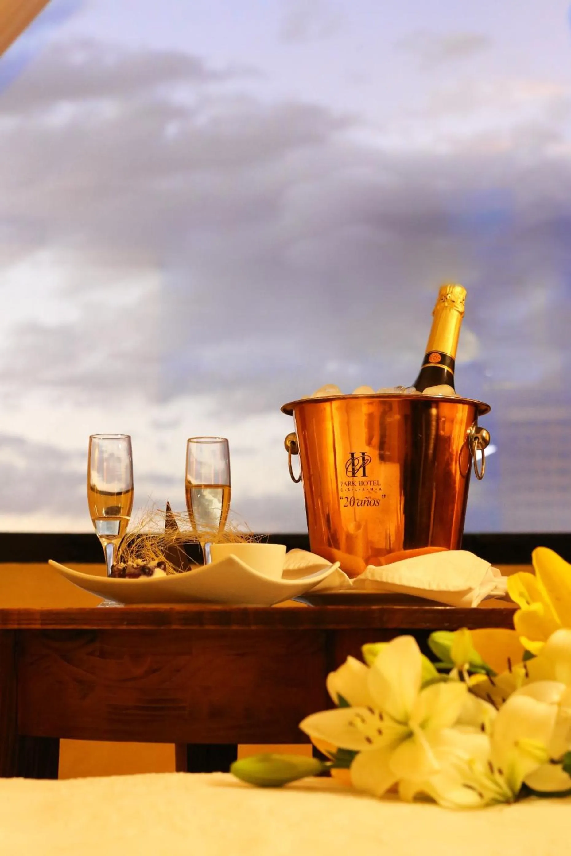 Other in Park Hotel Calama