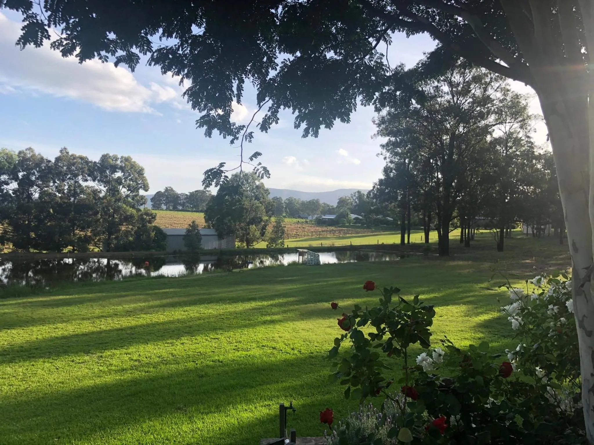 Villa Provence Estate