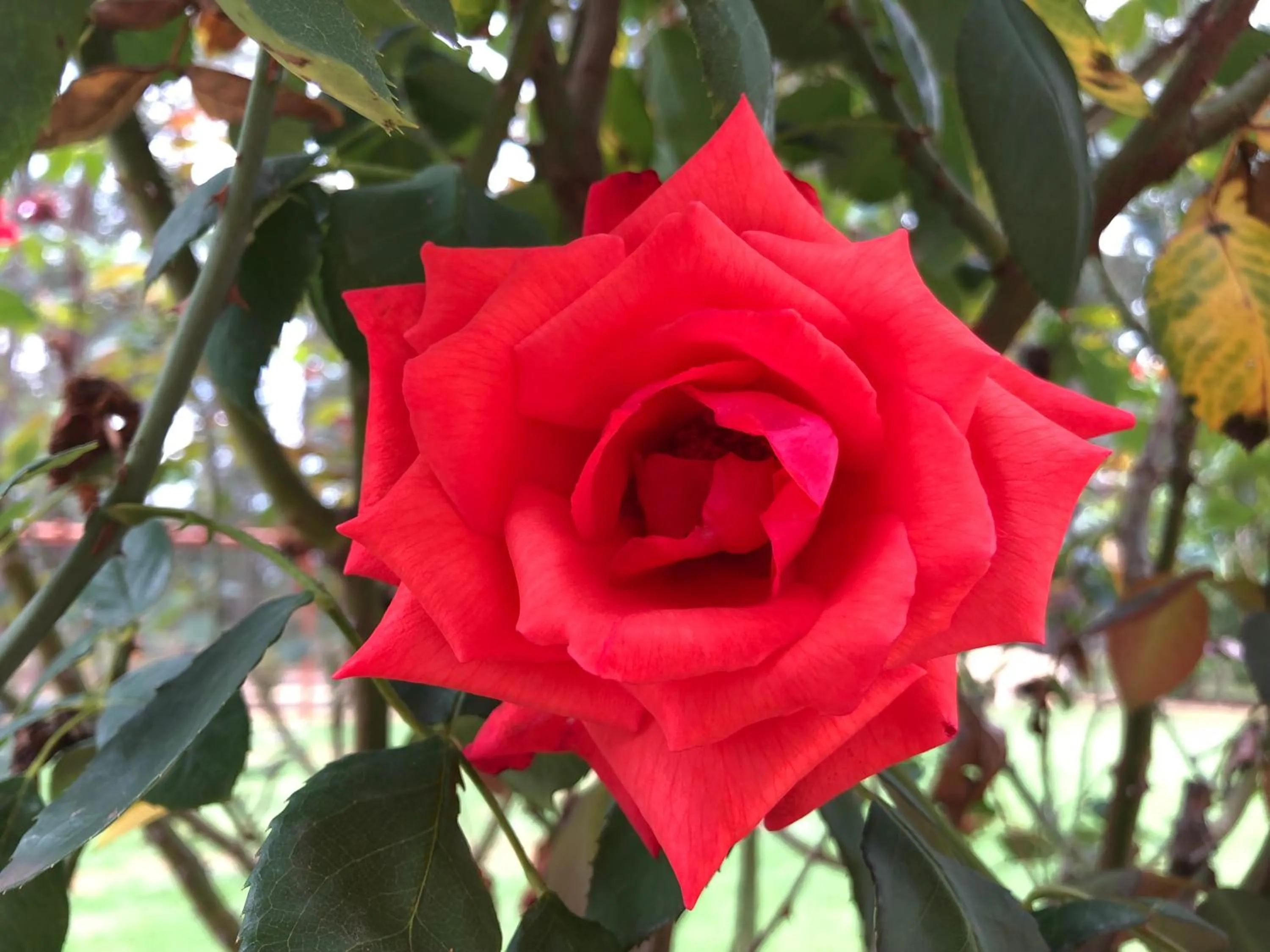 Villa Provence Estate